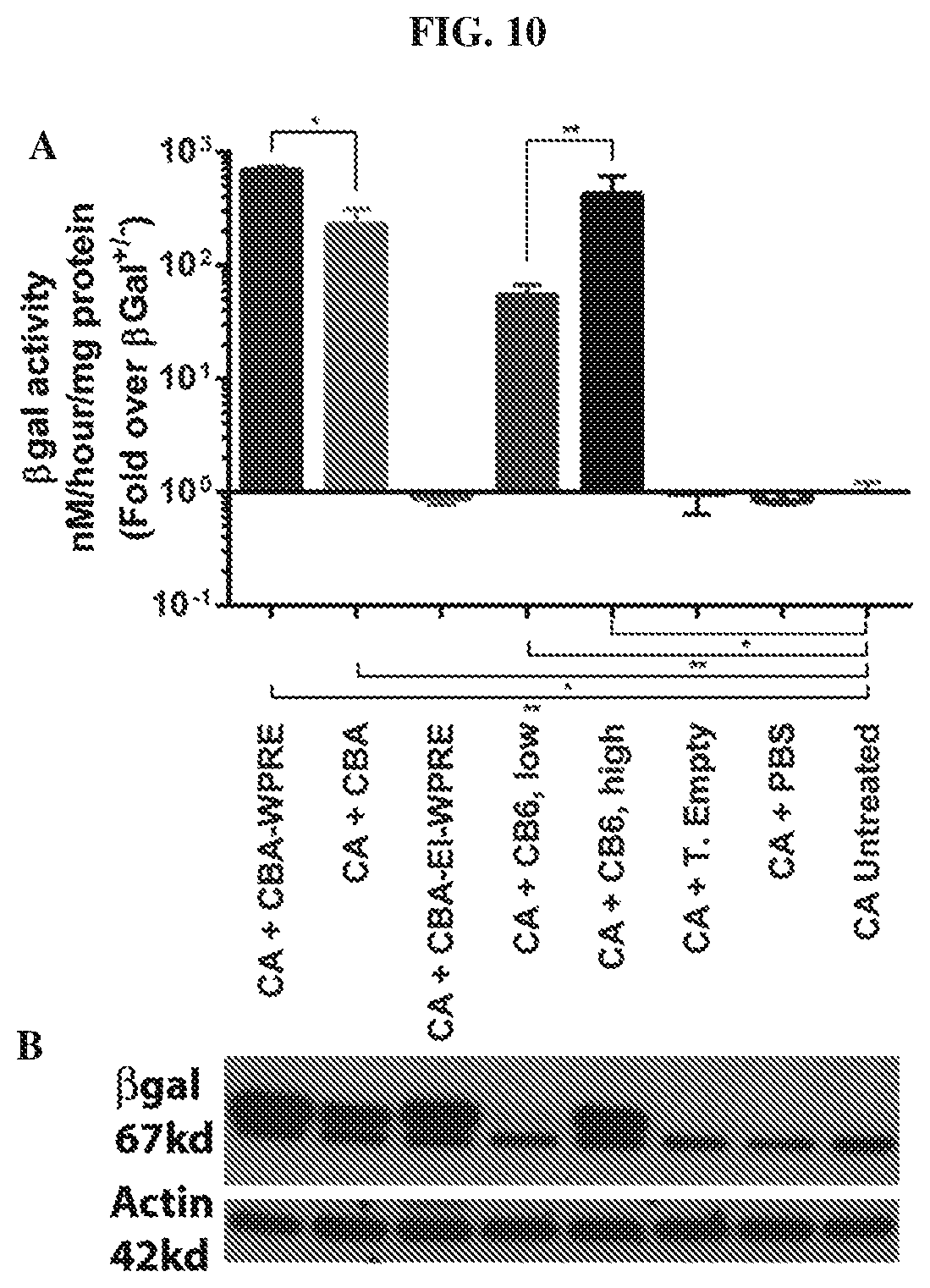 Patent US12448629 Figure 10 – rAAV vectors for the treatment of GM1 and GM2 gangliosidosis