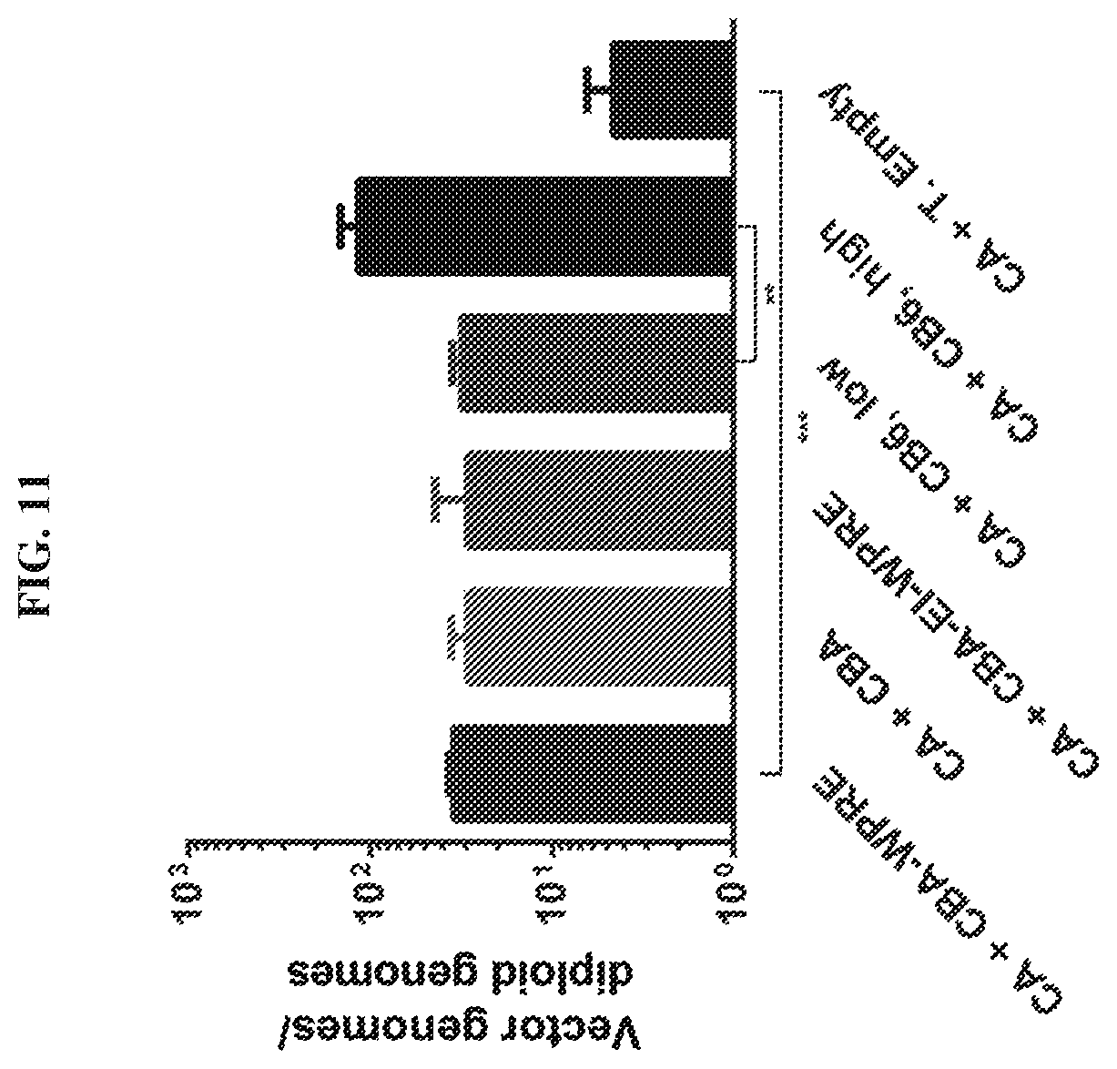 Patent US12448629 Figure 11 – rAAV vectors for the treatment of GM1 and GM2 gangliosidosis