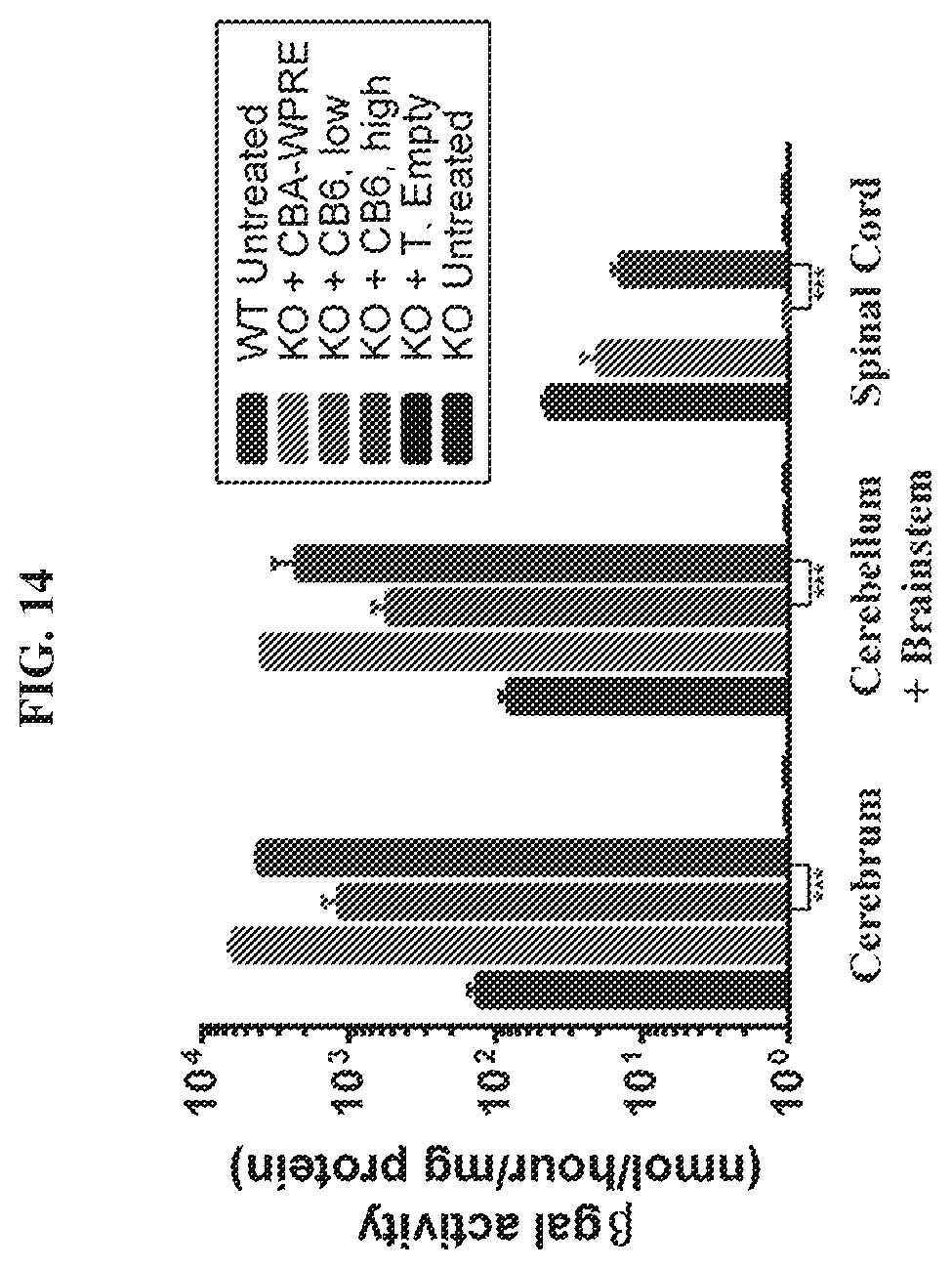 Patent US12448629 Figure 14 – rAAV vectors for the treatment of GM1 and GM2 gangliosidosis