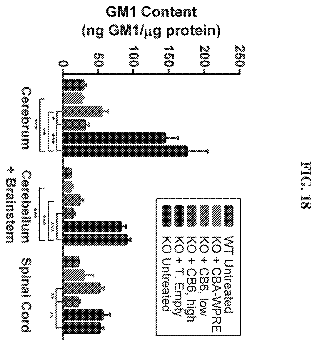 Patent US12448629 Figure 18 – rAAV vectors for the treatment of GM1 and GM2 gangliosidosis