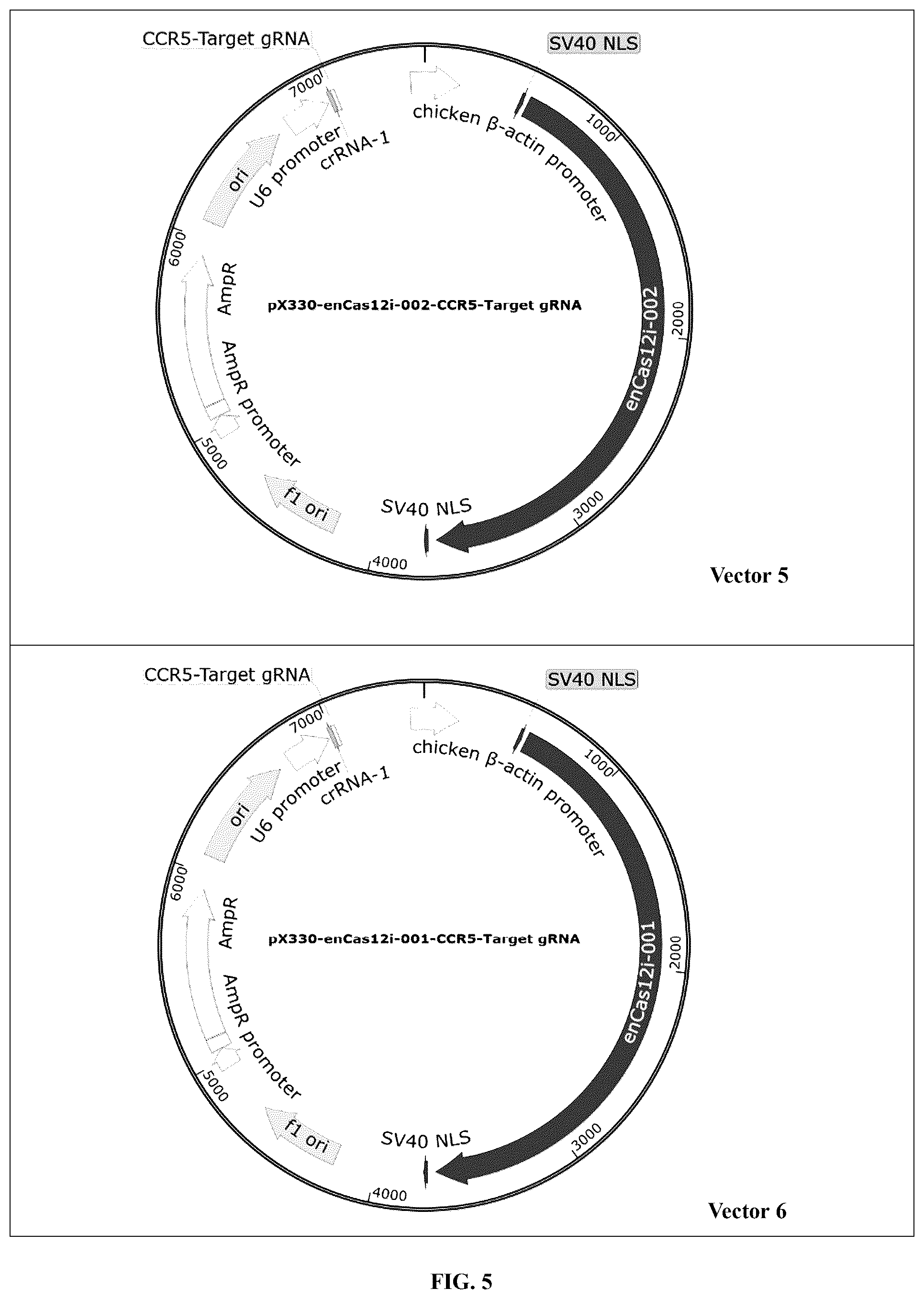 Patent US12448630 Figure 7 – CRISPR-Cas systems and uses thereof