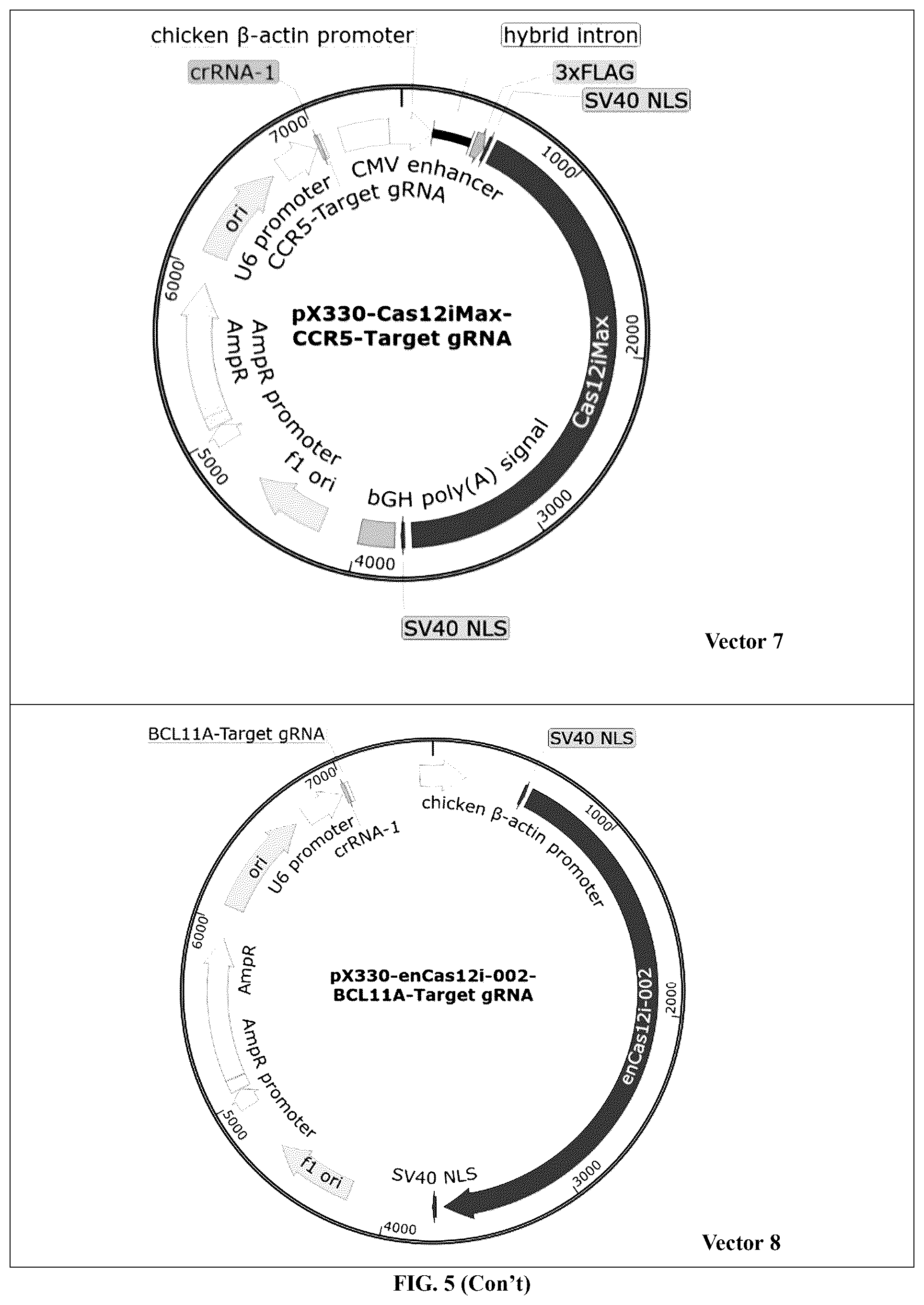 Patent US12448630 Figure 8 – CRISPR-Cas systems and uses thereof