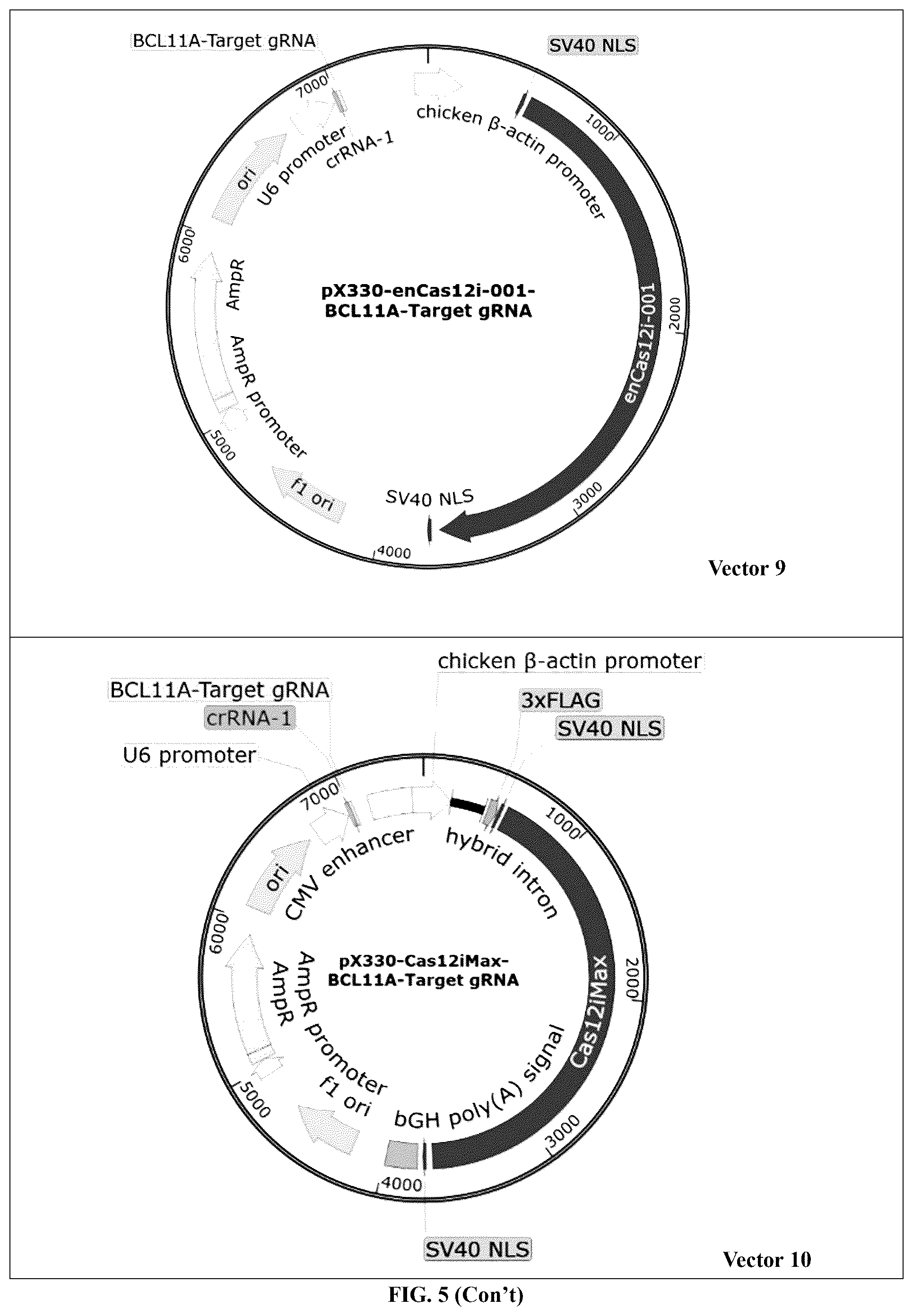 Patent US12448630 Figure 9 – CRISPR-Cas systems and uses thereof