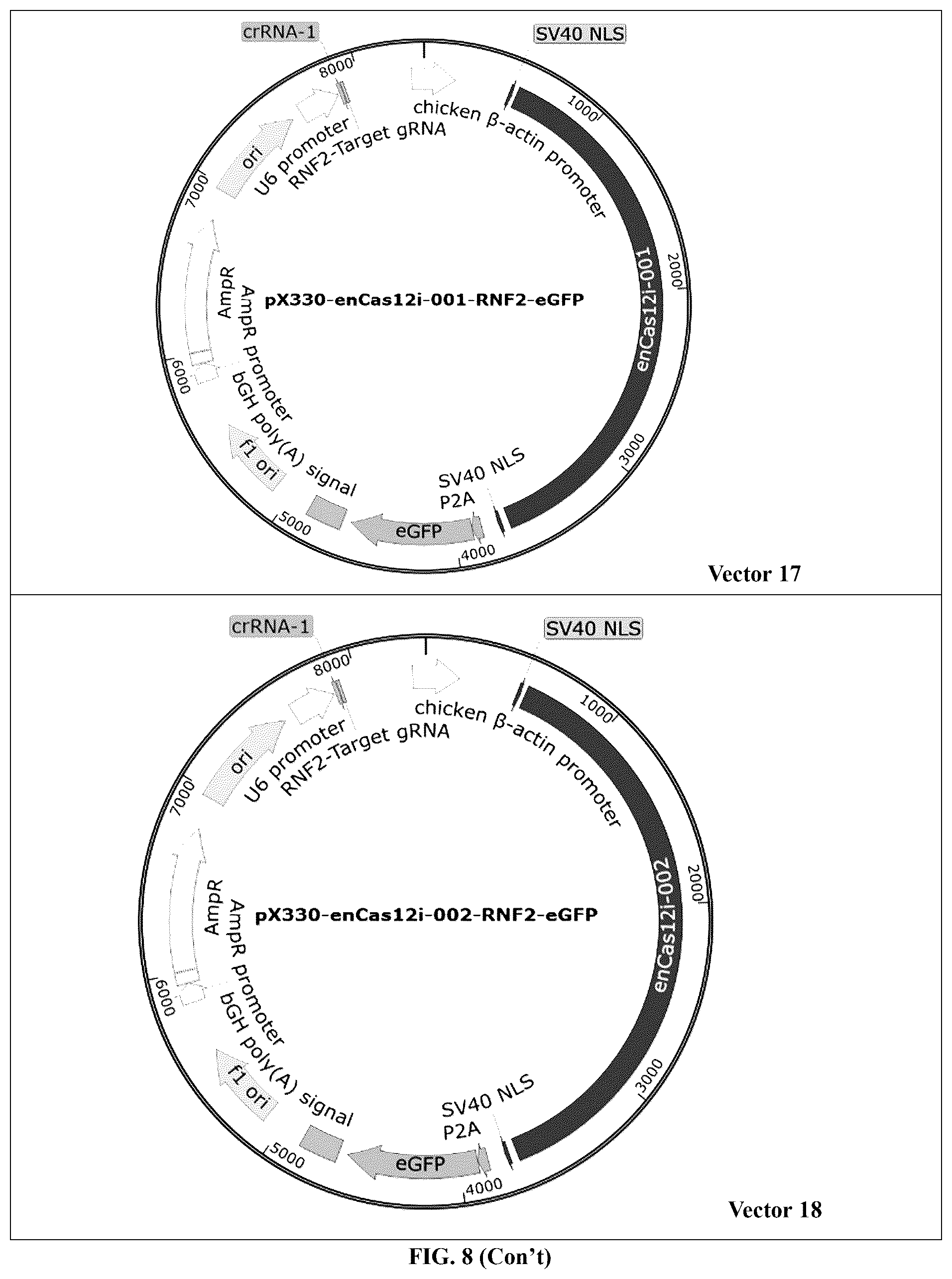 Patent US12448630 Figure 14 – CRISPR-Cas systems and uses thereof