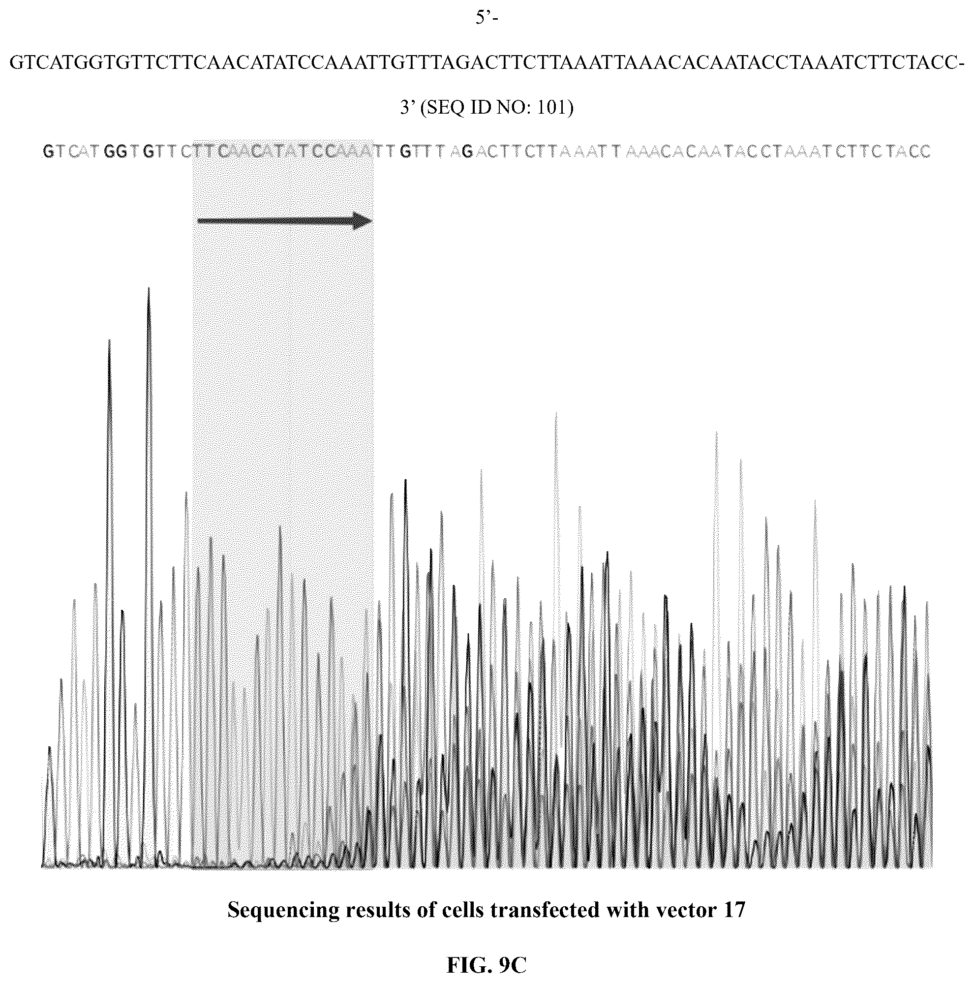 Patent US12448630 Figure 17 – CRISPR-Cas systems and uses thereof