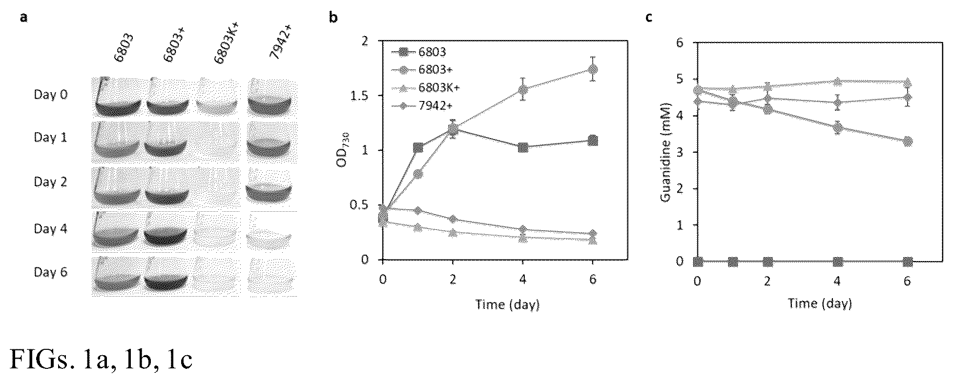 Patent US12448632 — Guanidine degradation enzyme and methods of use — Figure 1