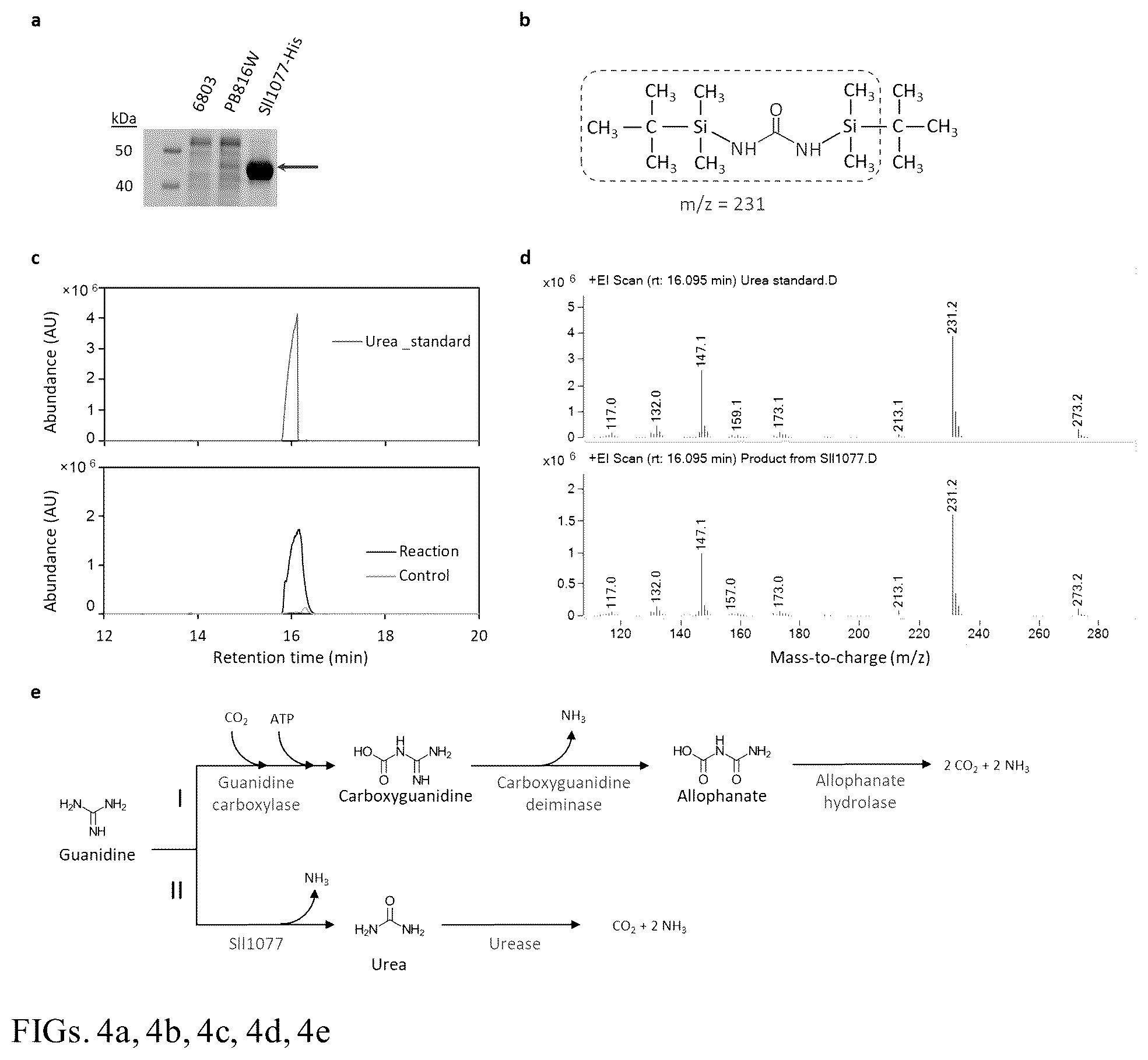 Patent US12448632 Figure 4 – Guanidine degradation enzyme and methods of use