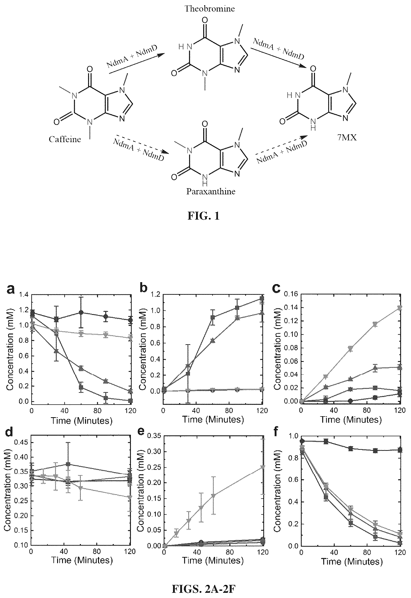 Patent US12448633 Figure 1 – Bacterial N-demthylases as biocatalysts for the production of methylxanthines