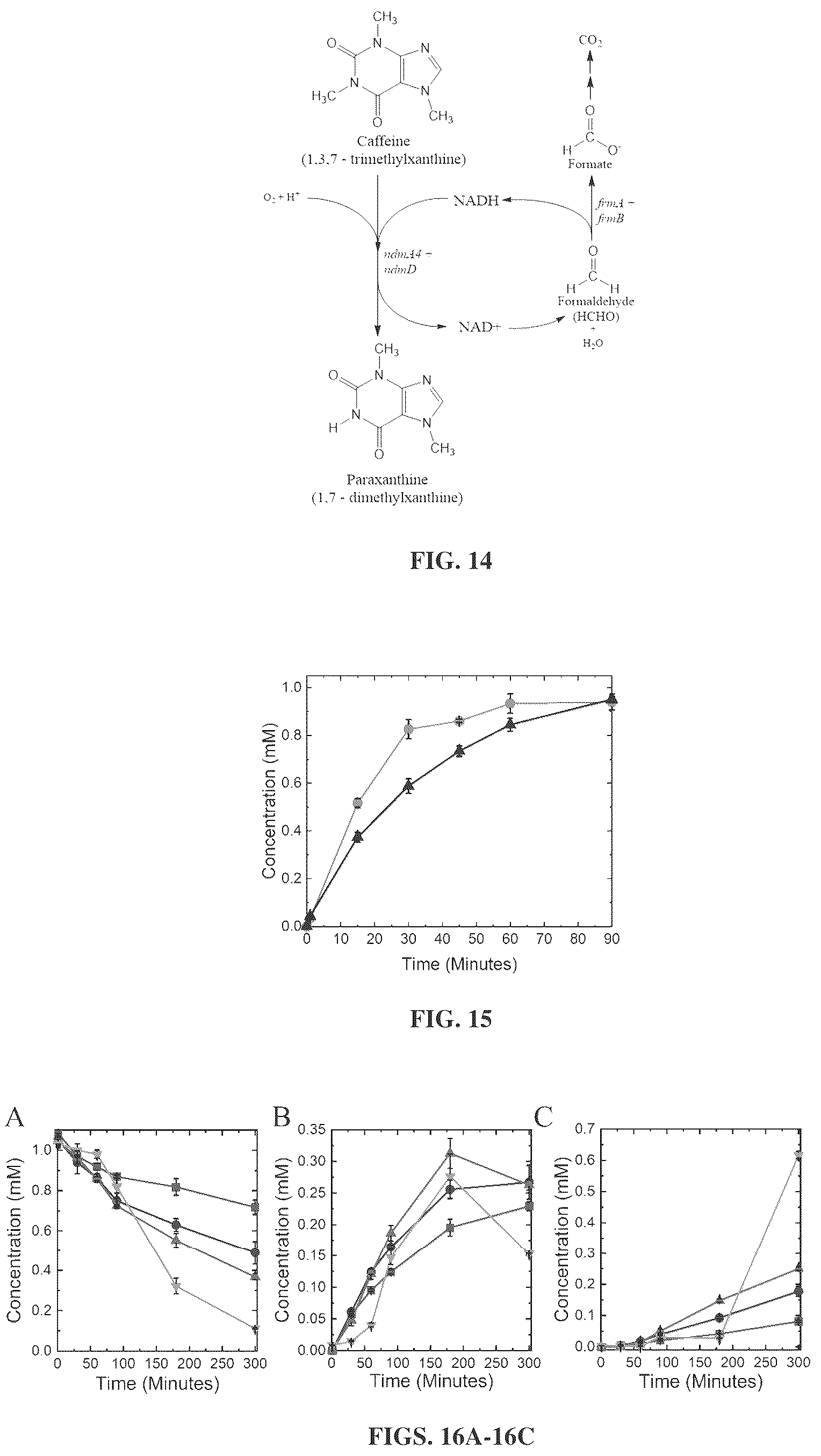 Patent US12448633 Figure 10 – Bacterial N-demthylases as biocatalysts for the production of methylxanthines