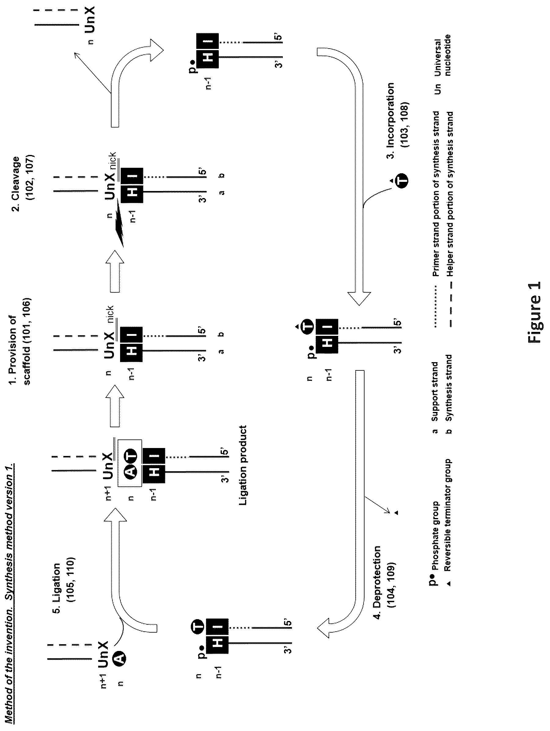 Patent US12448635 Figure 1 – Polynucleotide synthesis method, system and kit