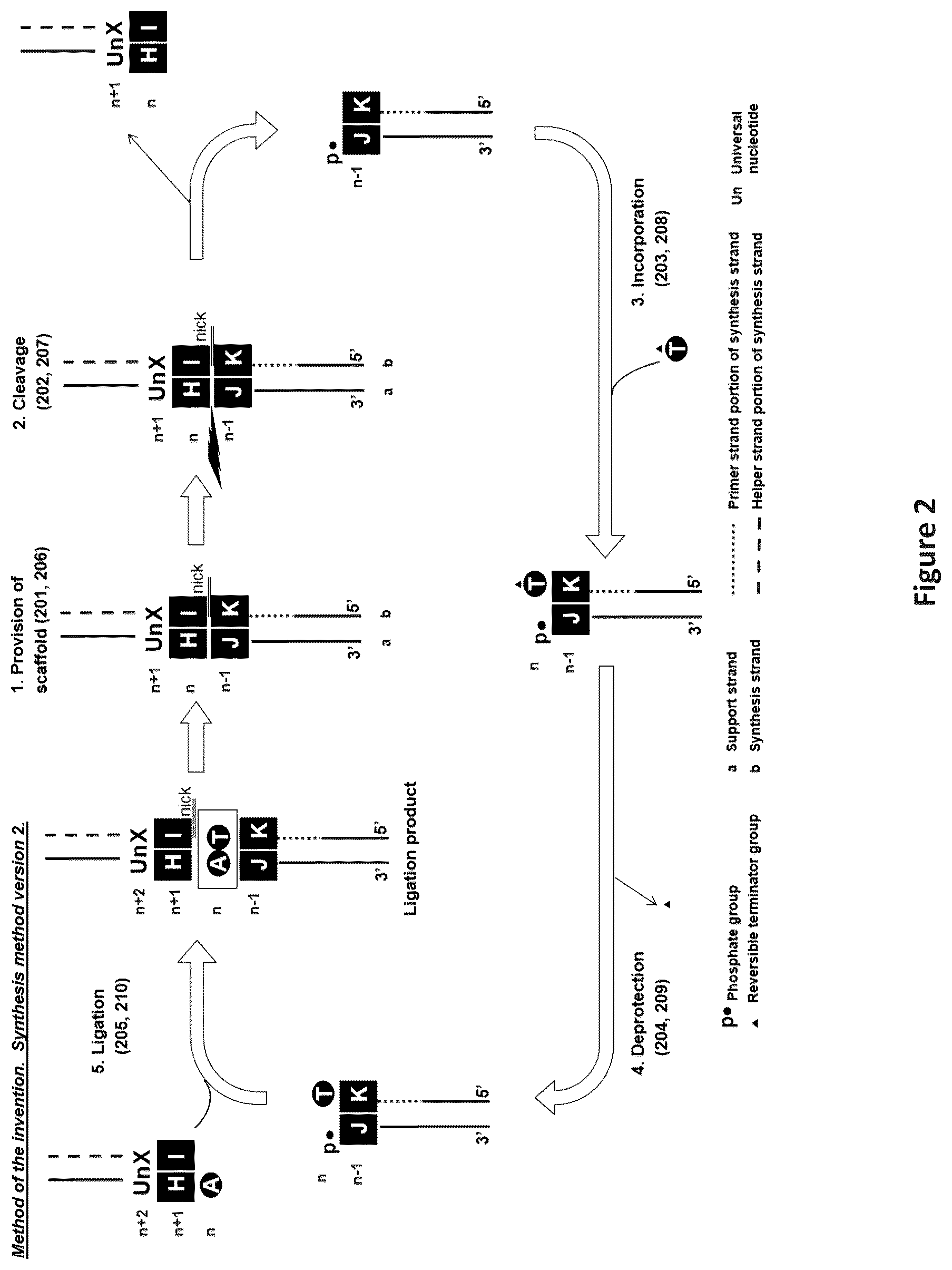 Patent US12448635 Figure 2 – Polynucleotide synthesis method, system and kit