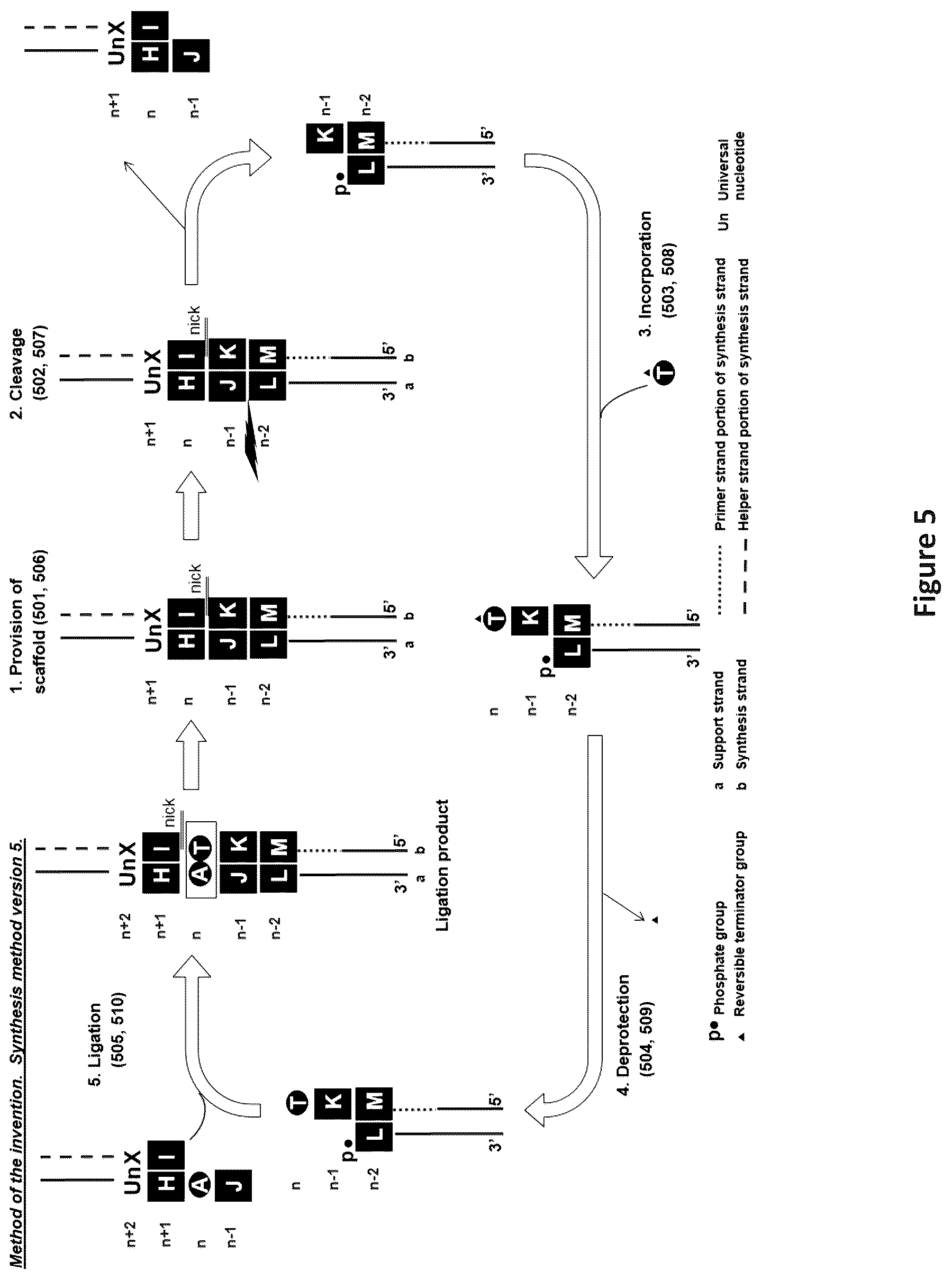 Patent US12448635 Figure 5 – Polynucleotide synthesis method, system and kit
