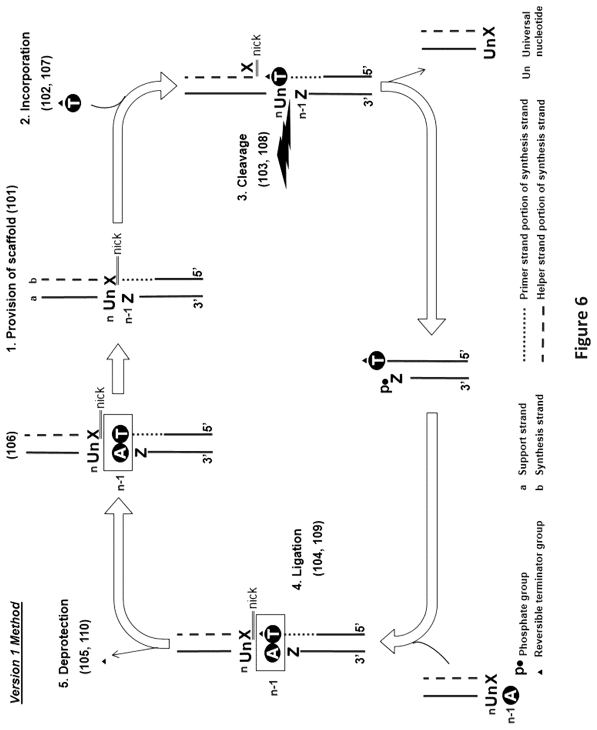 Patent US12448635 Figure 6 – Polynucleotide synthesis method, system and kit