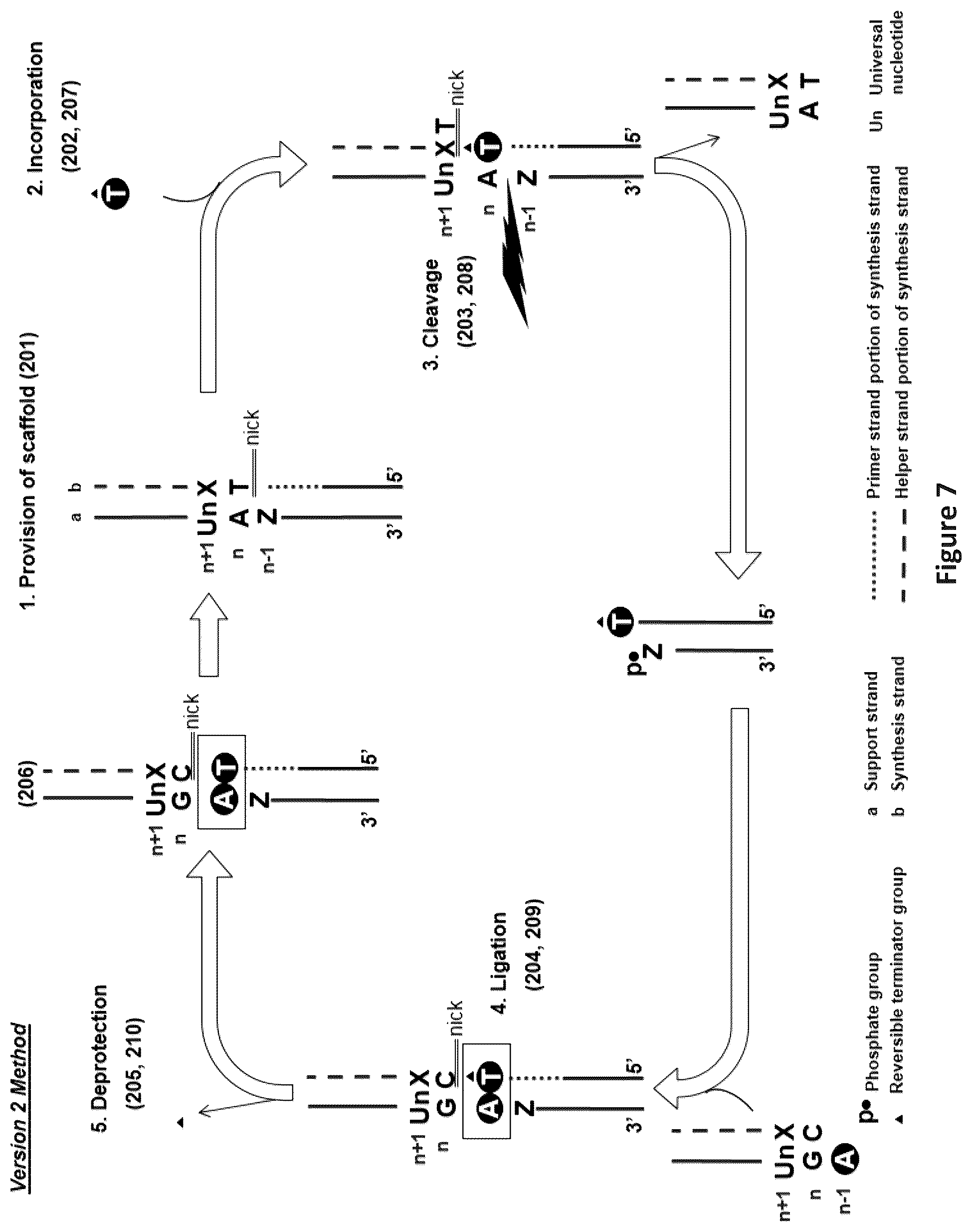 Patent US12448635 Figure 7 – Polynucleotide synthesis method, system and kit