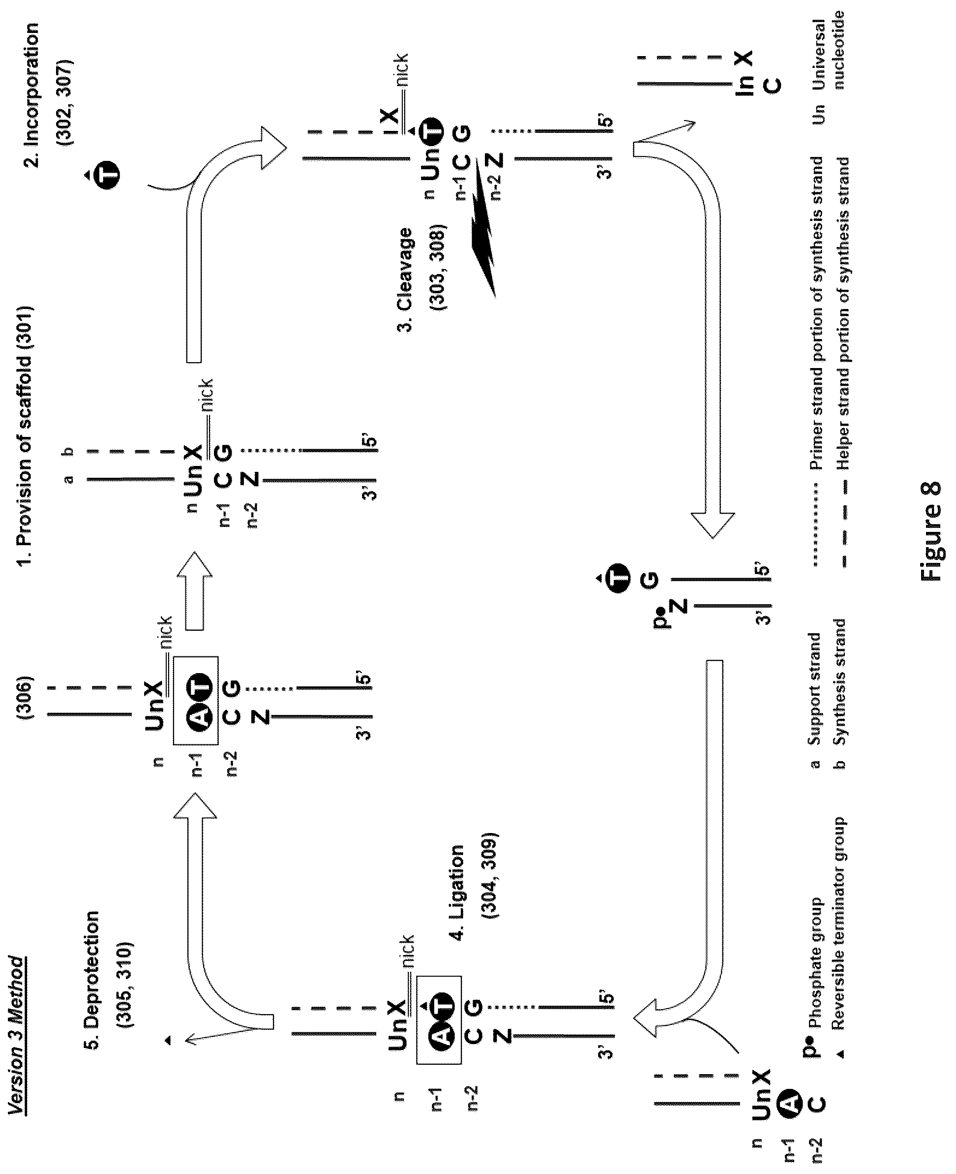 Patent US12448635 Figure 8 – Polynucleotide synthesis method, system and kit