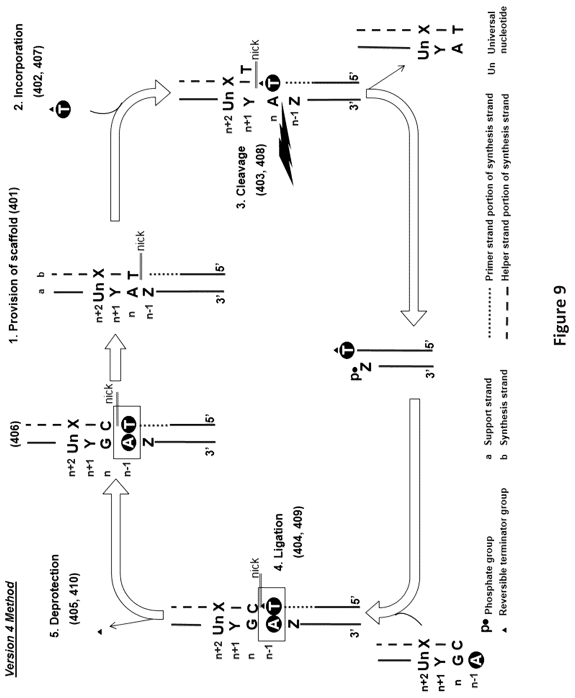 Patent US12448635 Figure 9 – Polynucleotide synthesis method, system and kit