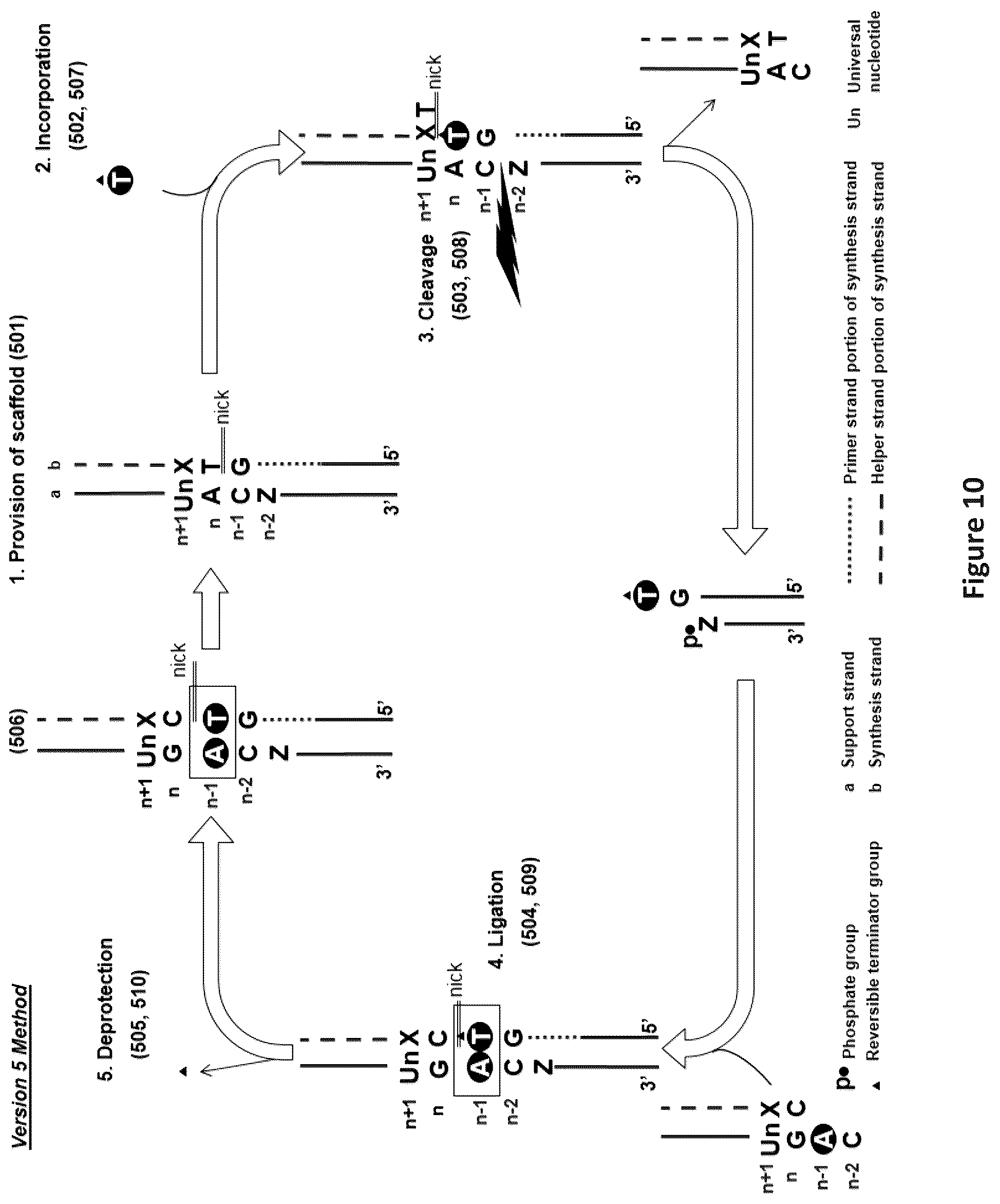 Patent US12448635 Figure 10 – Polynucleotide synthesis method, system and kit