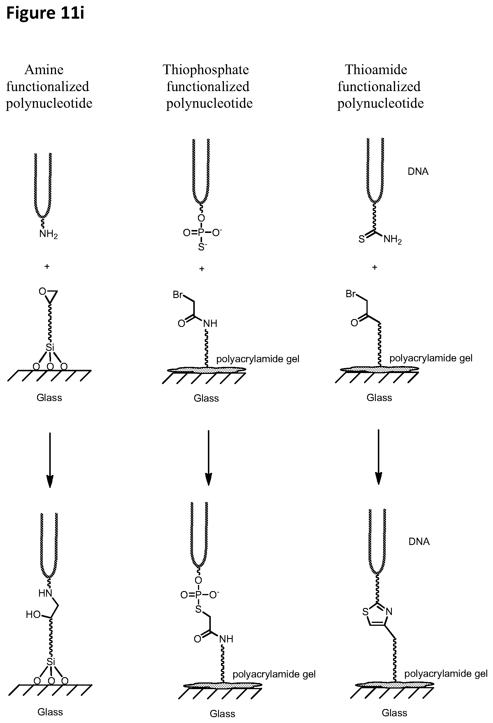 Patent US12448635 Figure 12 – Polynucleotide synthesis method, system and kit
