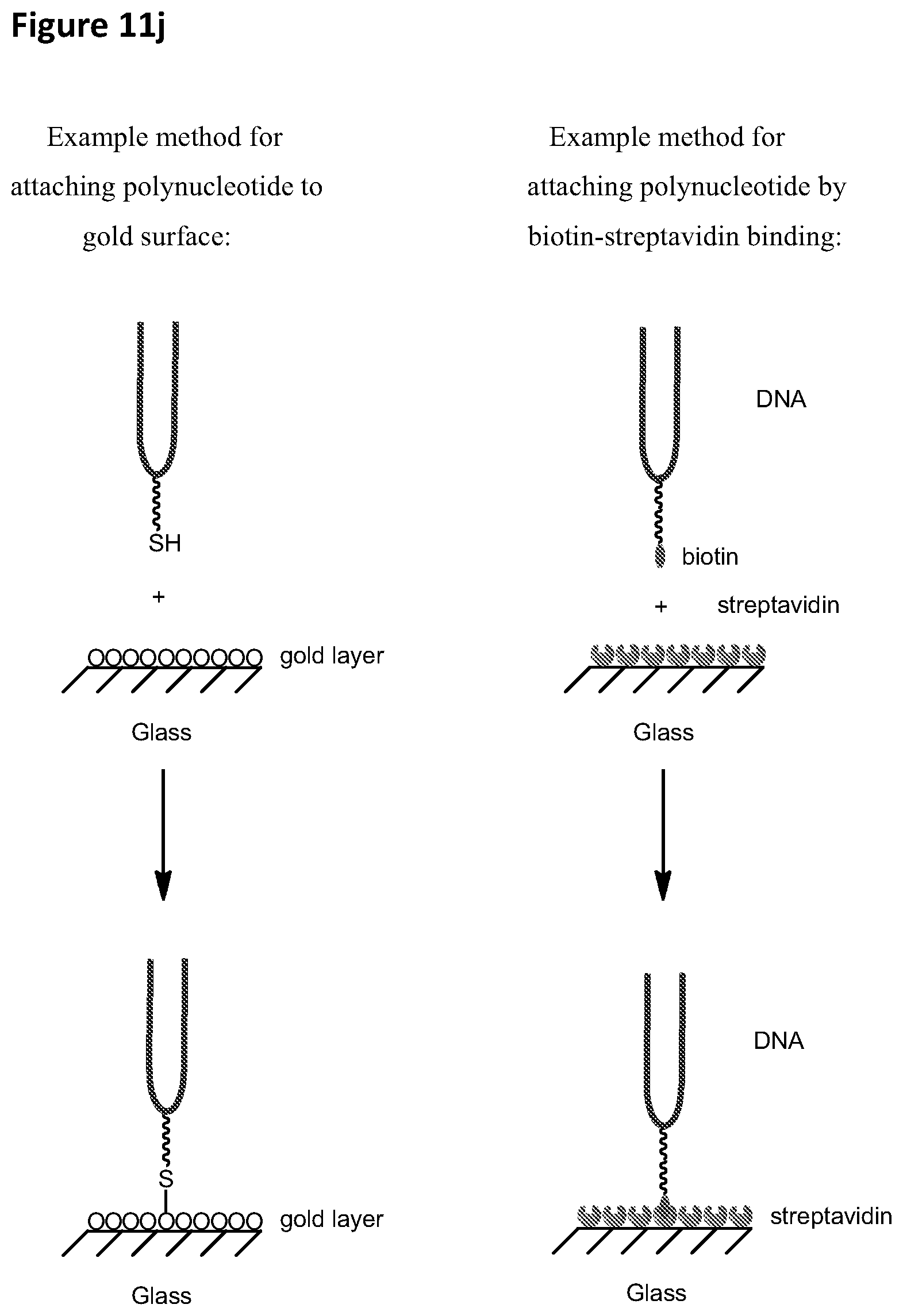 Patent US12448635 Figure 13 – Polynucleotide synthesis method, system and kit