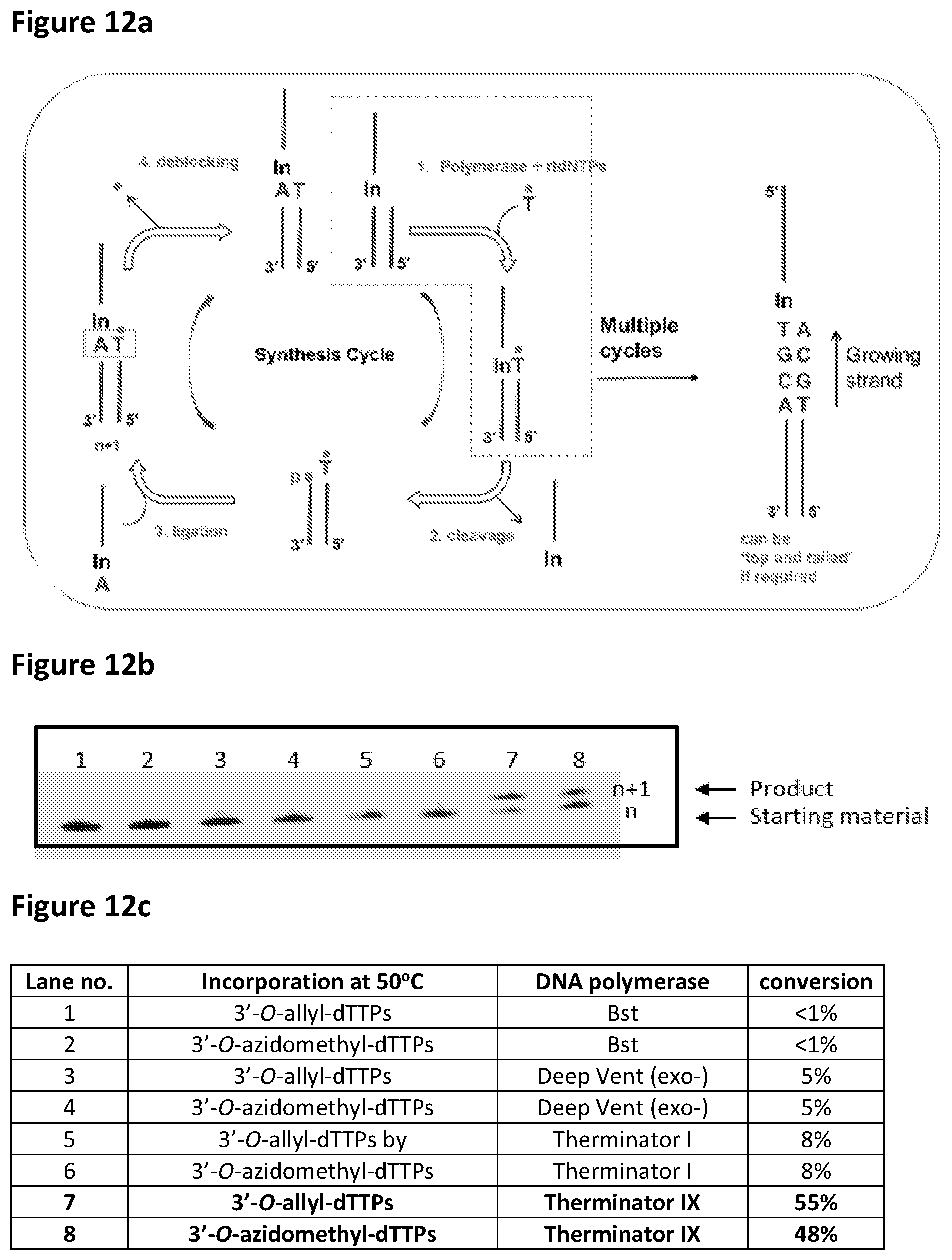 Patent US12448635 Figure 14 – Polynucleotide synthesis method, system and kit