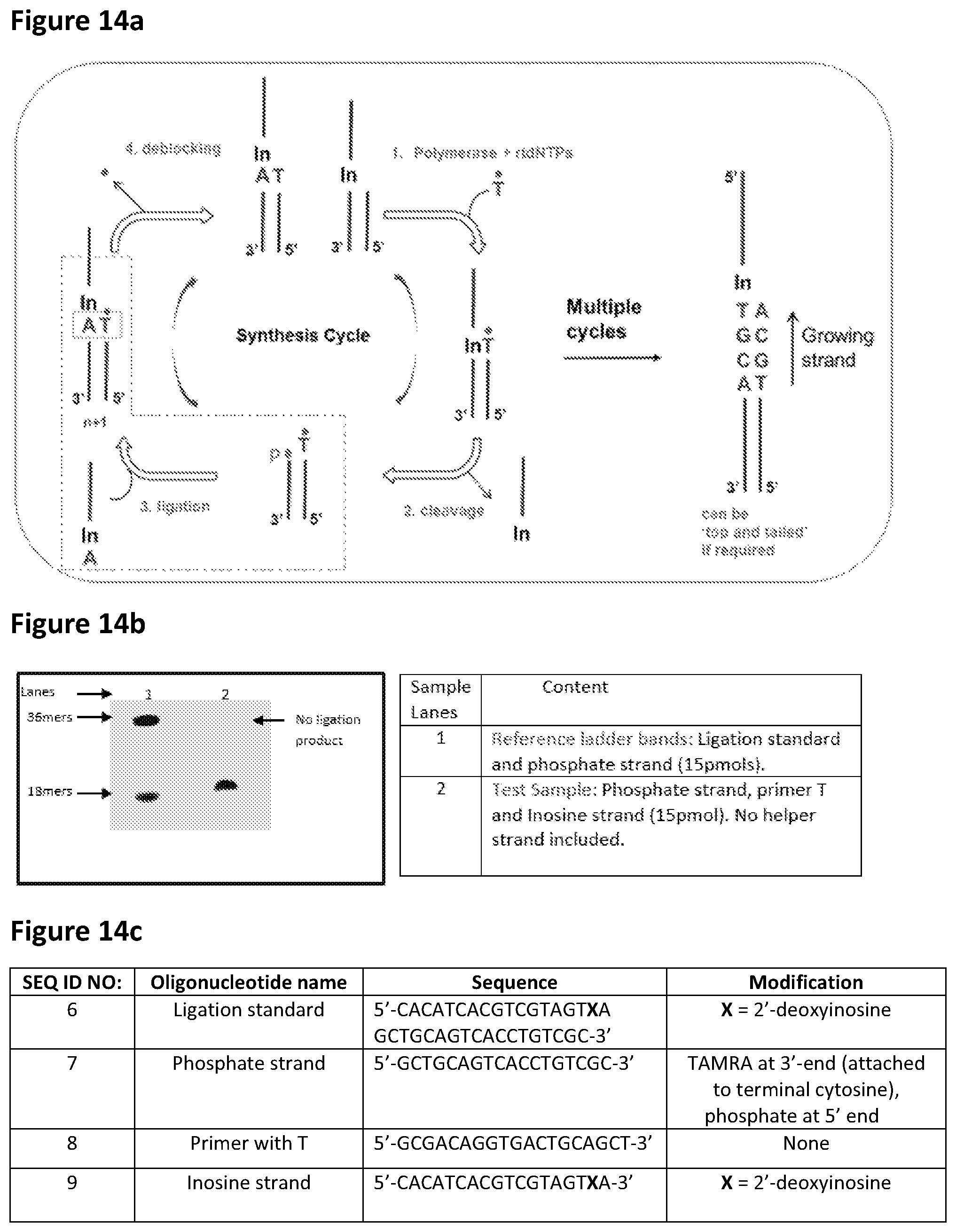 Patent US12448635 Figure 19 – Polynucleotide synthesis method, system and kit