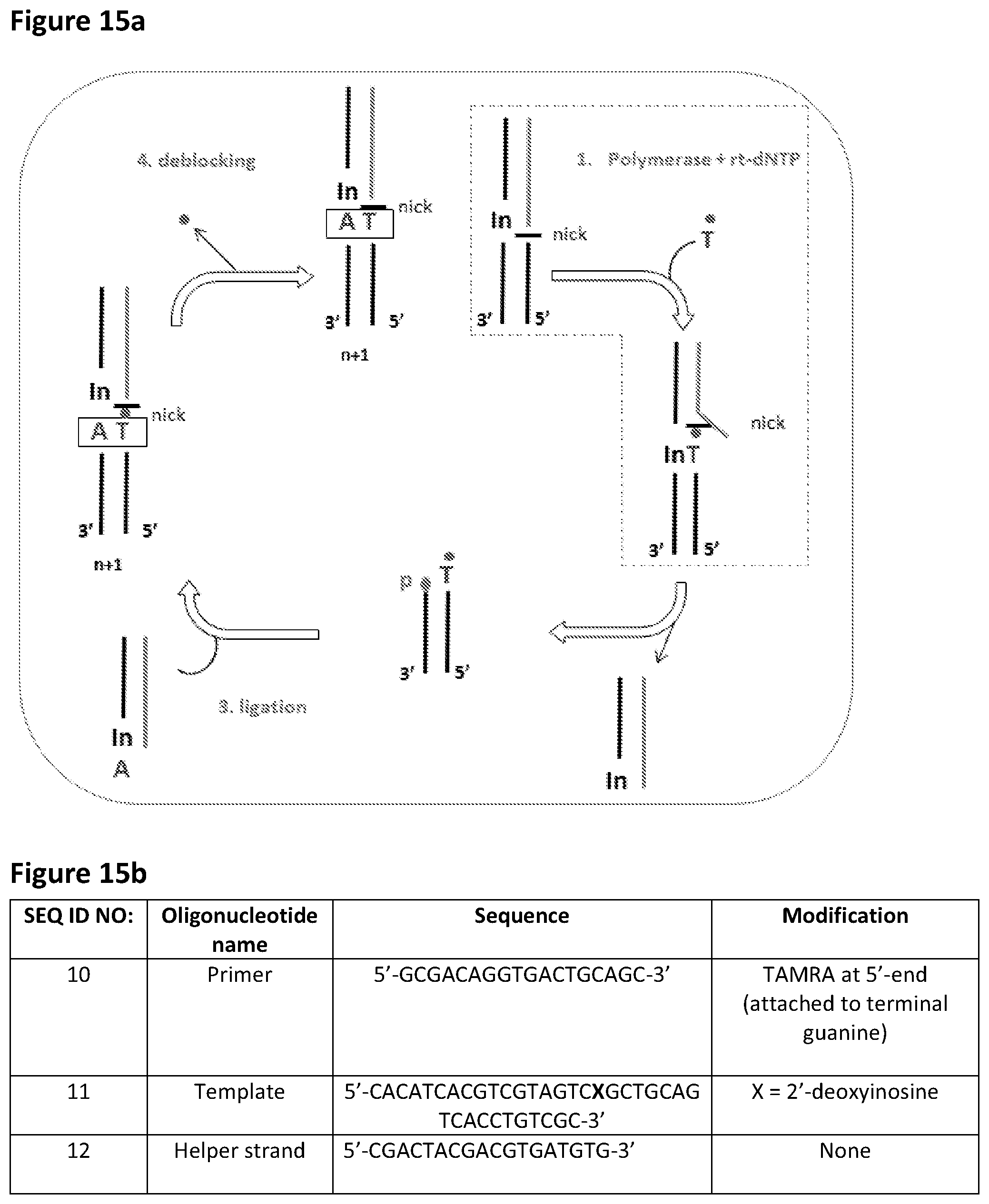 Patent US12448635 Figure 20 – Polynucleotide synthesis method, system and kit