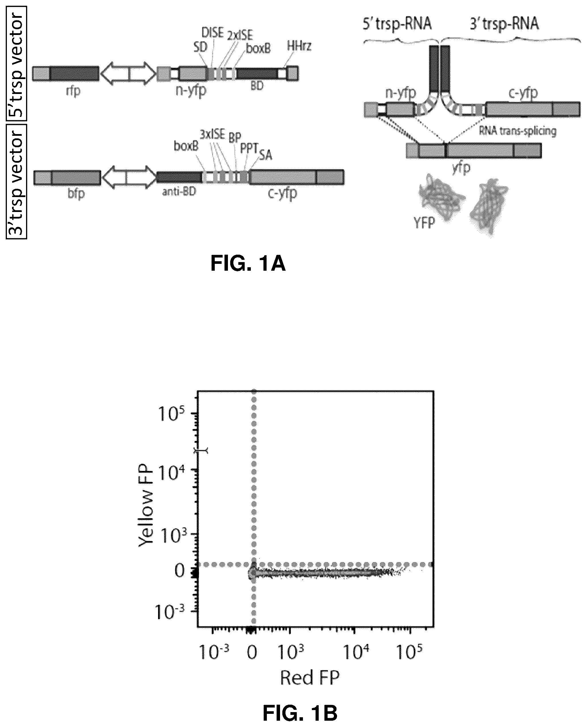 Patent US12448636 Figure 1 – High-efficiency reconstitution of RNA molecules