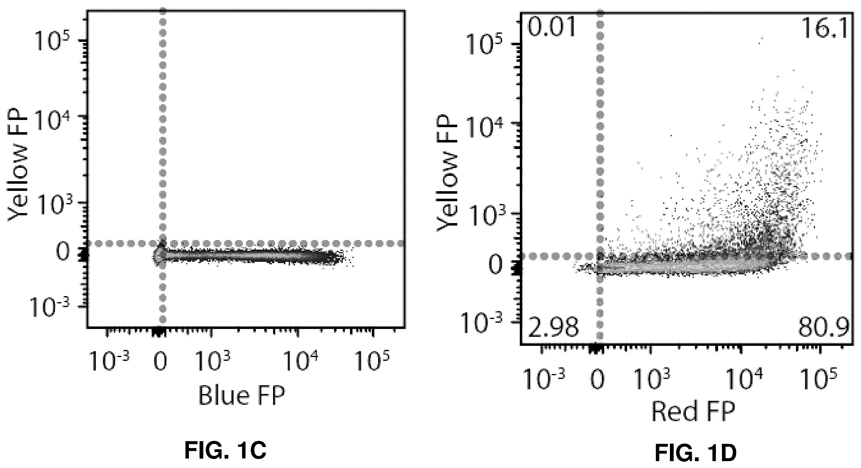 Patent US12448636 Figure 2 – High-efficiency reconstitution of RNA molecules