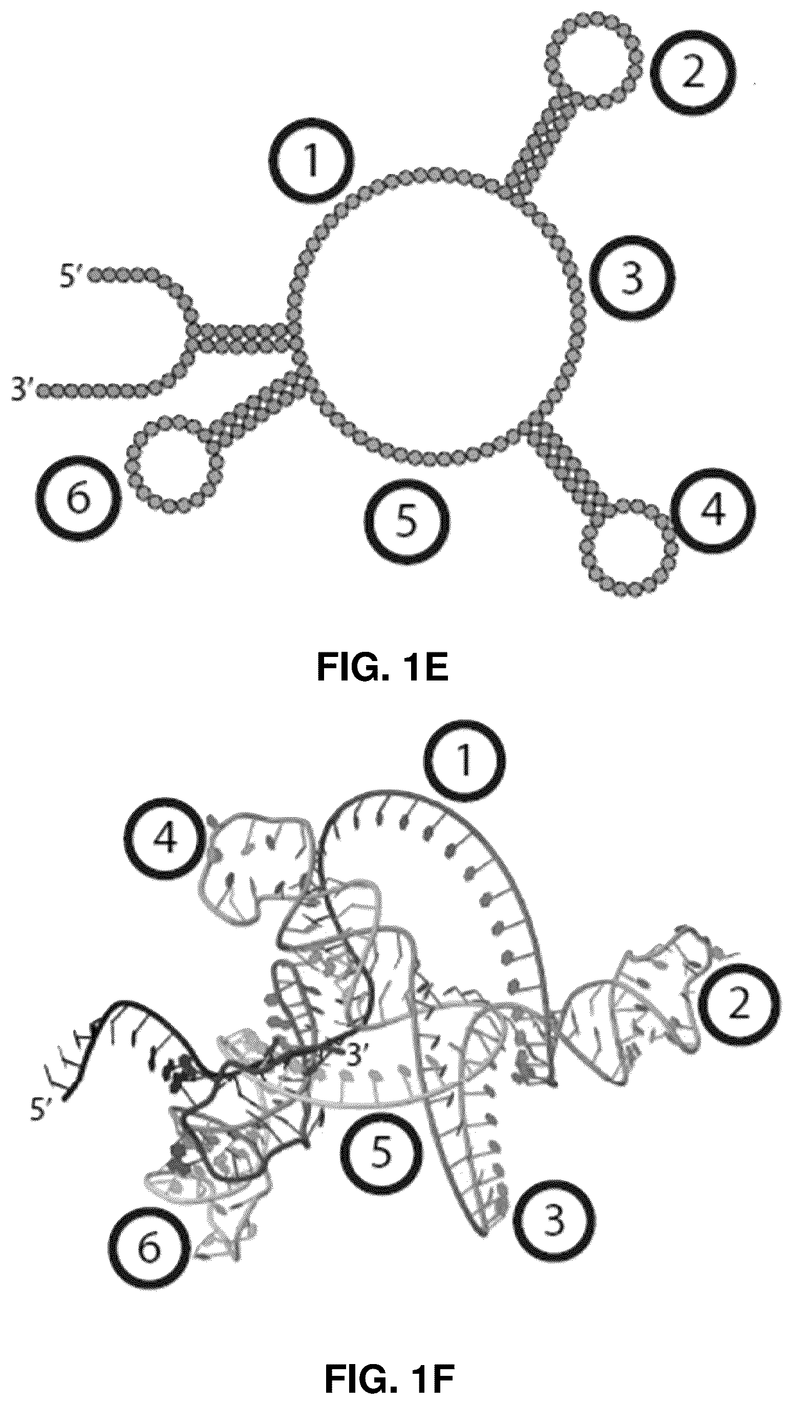 Patent US12448636 Figure 3 – High-efficiency reconstitution of RNA molecules