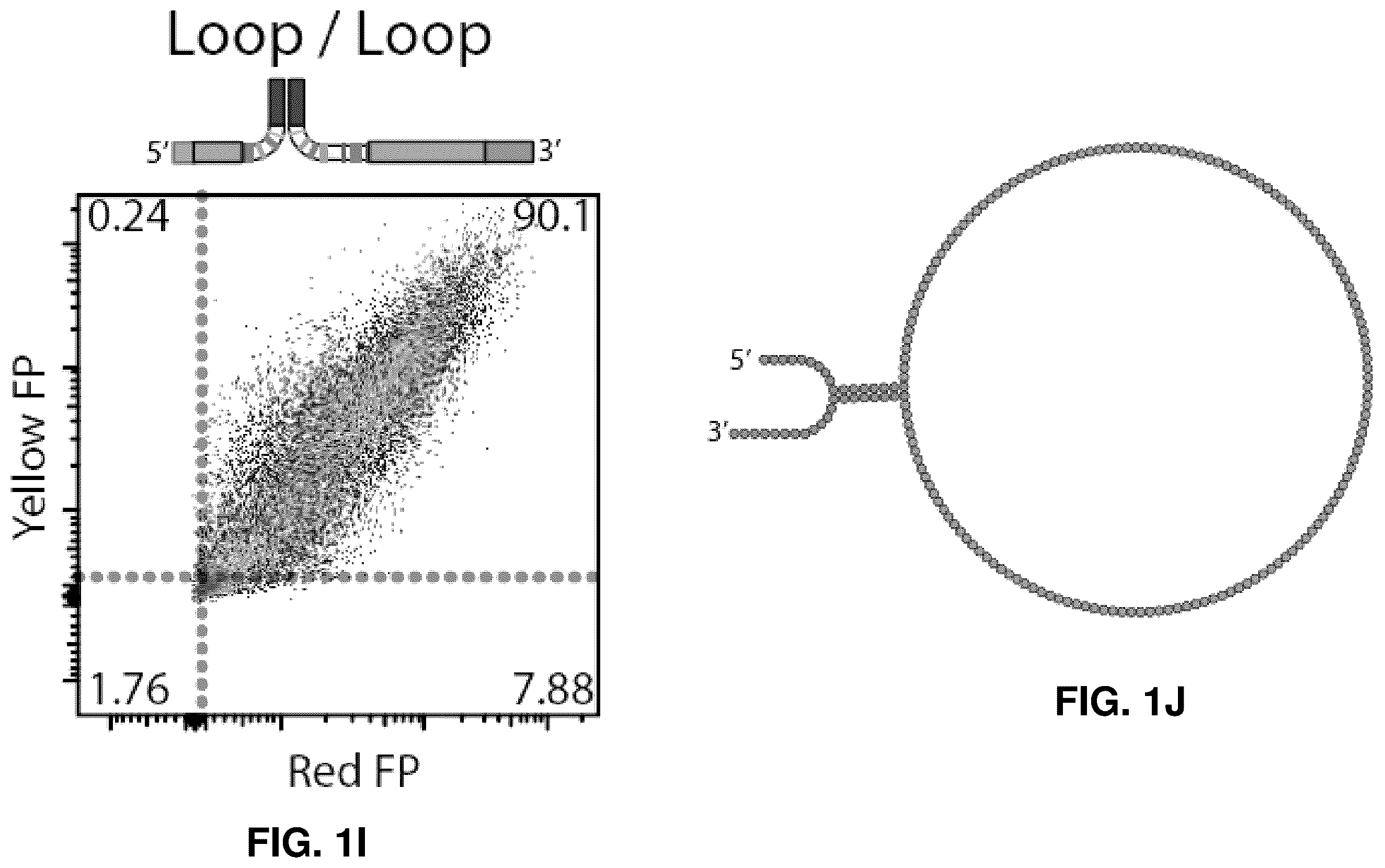Patent US12448636 Figure 5 – High-efficiency reconstitution of RNA molecules