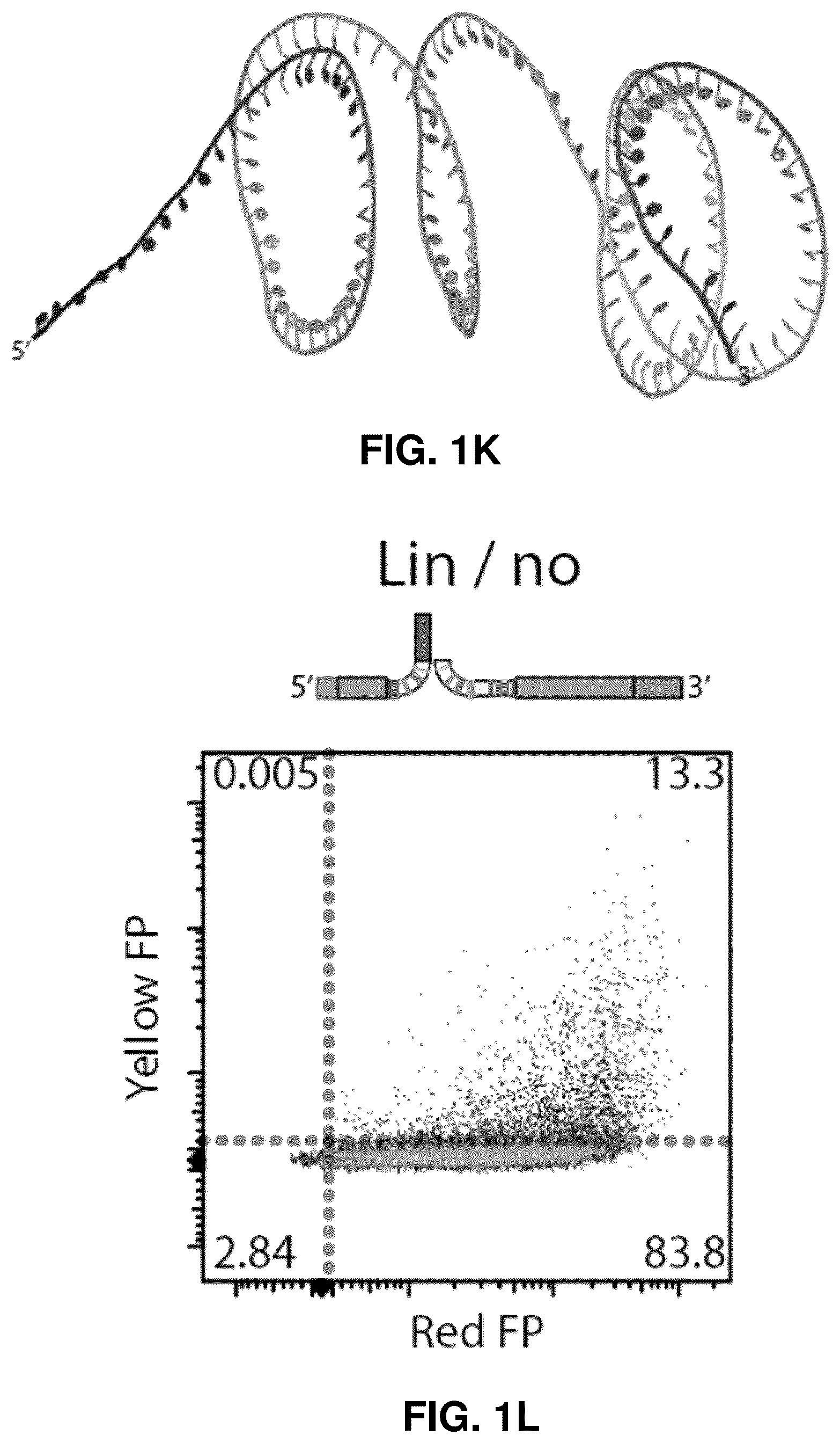Patent US12448636 Figure 6 – High-efficiency reconstitution of RNA molecules