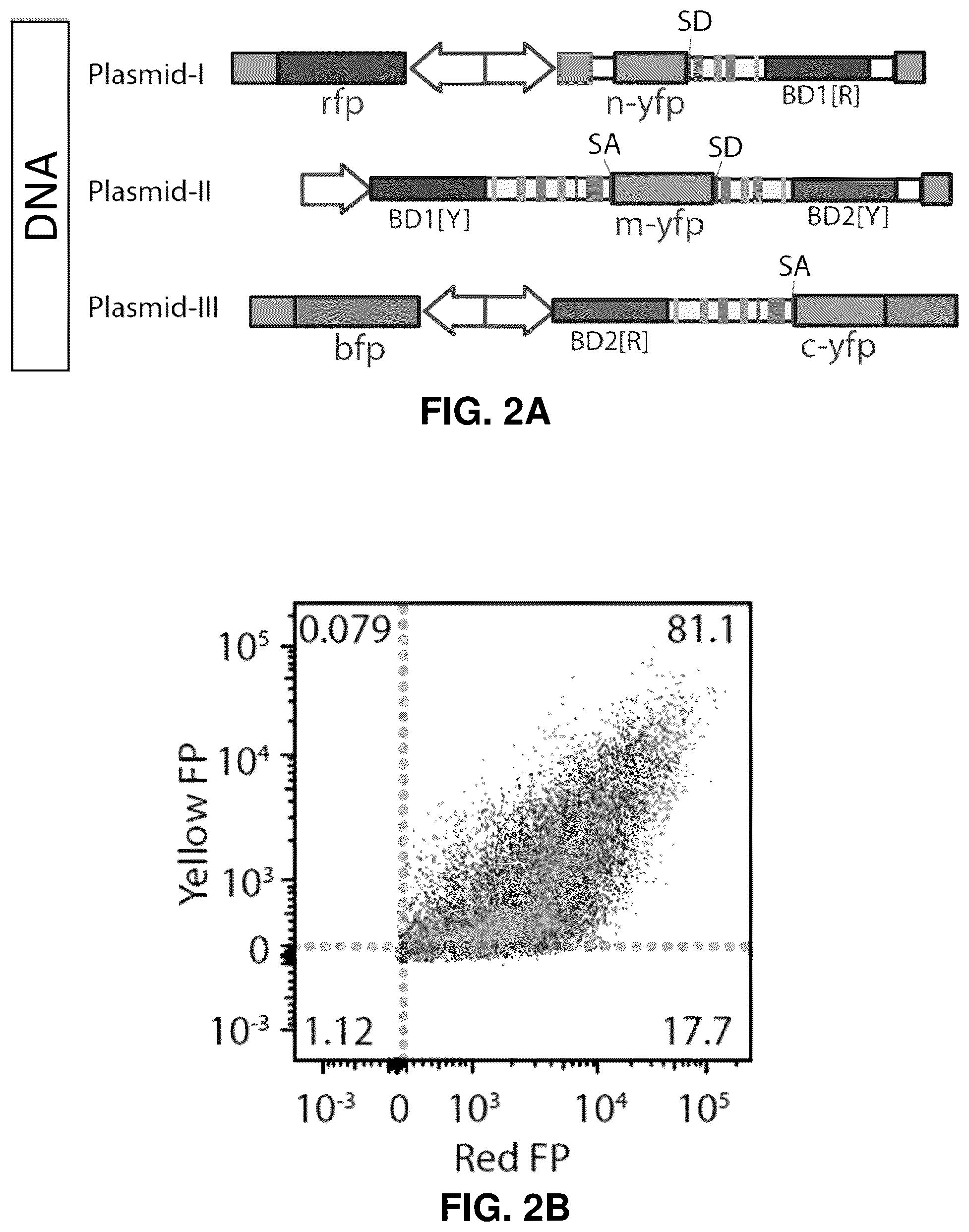 Patent US12448636 Figure 10 – High-efficiency reconstitution of RNA molecules