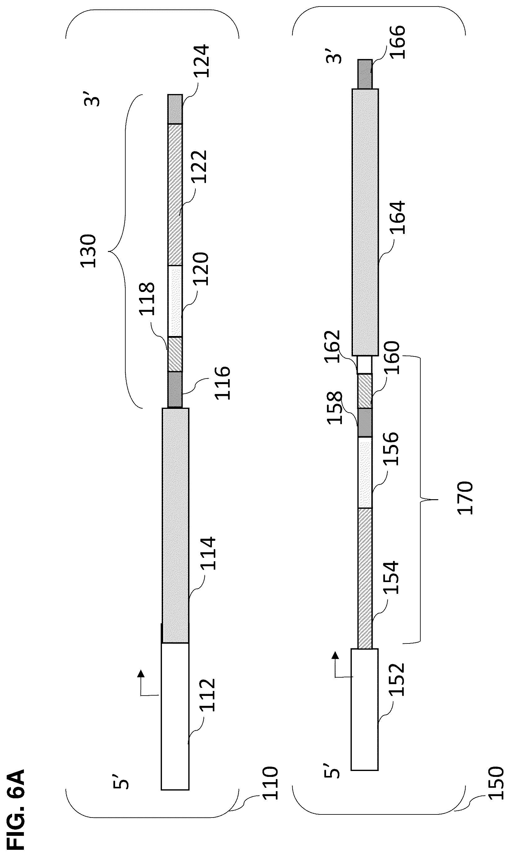 Patent US12448636 Figure 15 – High-efficiency reconstitution of RNA molecules