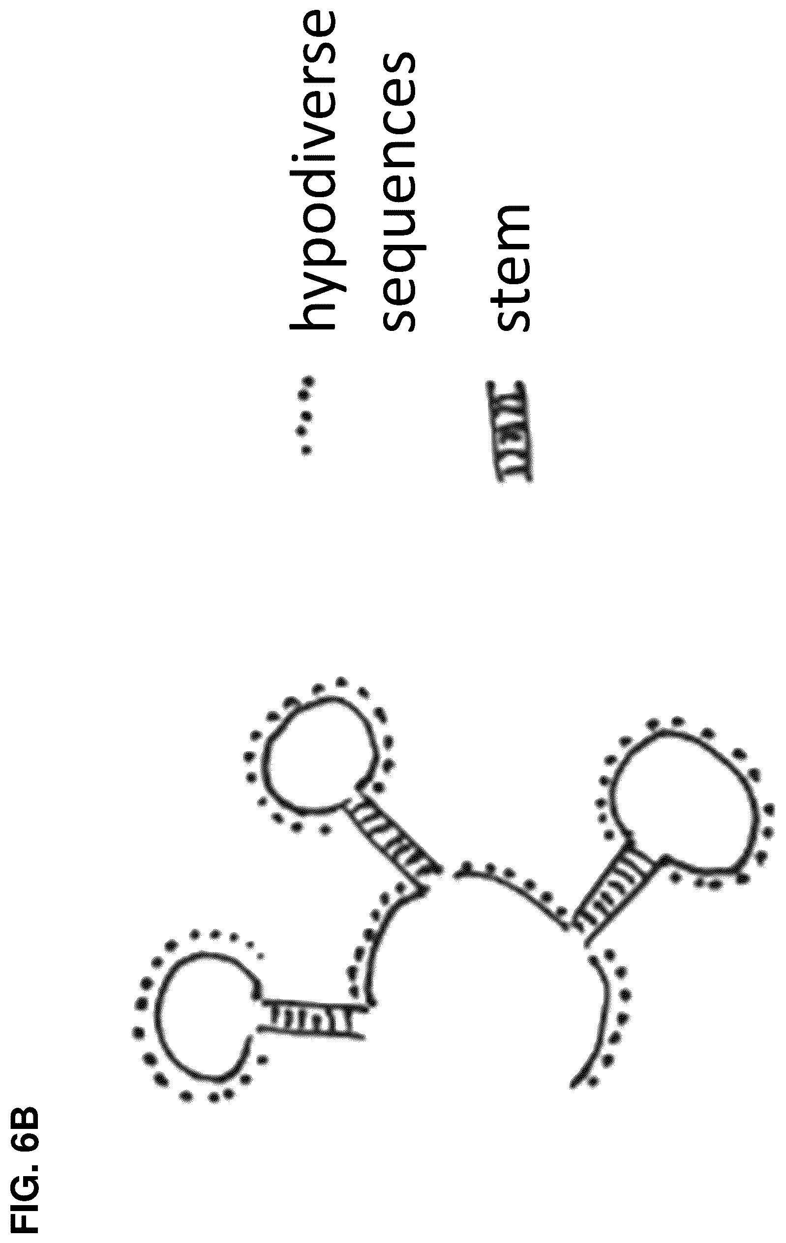 Patent US12448636 Figure 16 – High-efficiency reconstitution of RNA molecules