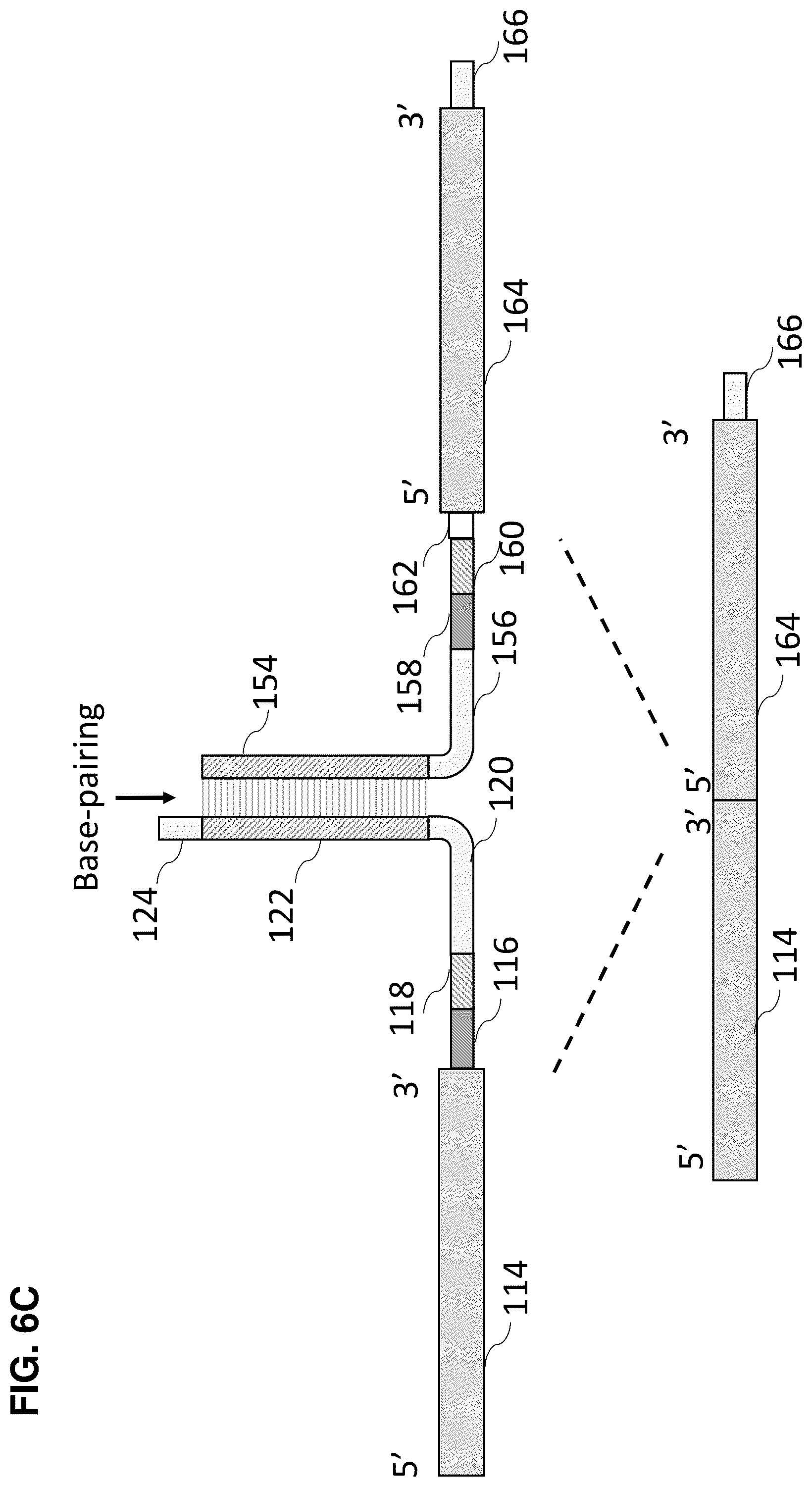 Patent US12448636 Figure 17 – High-efficiency reconstitution of RNA molecules