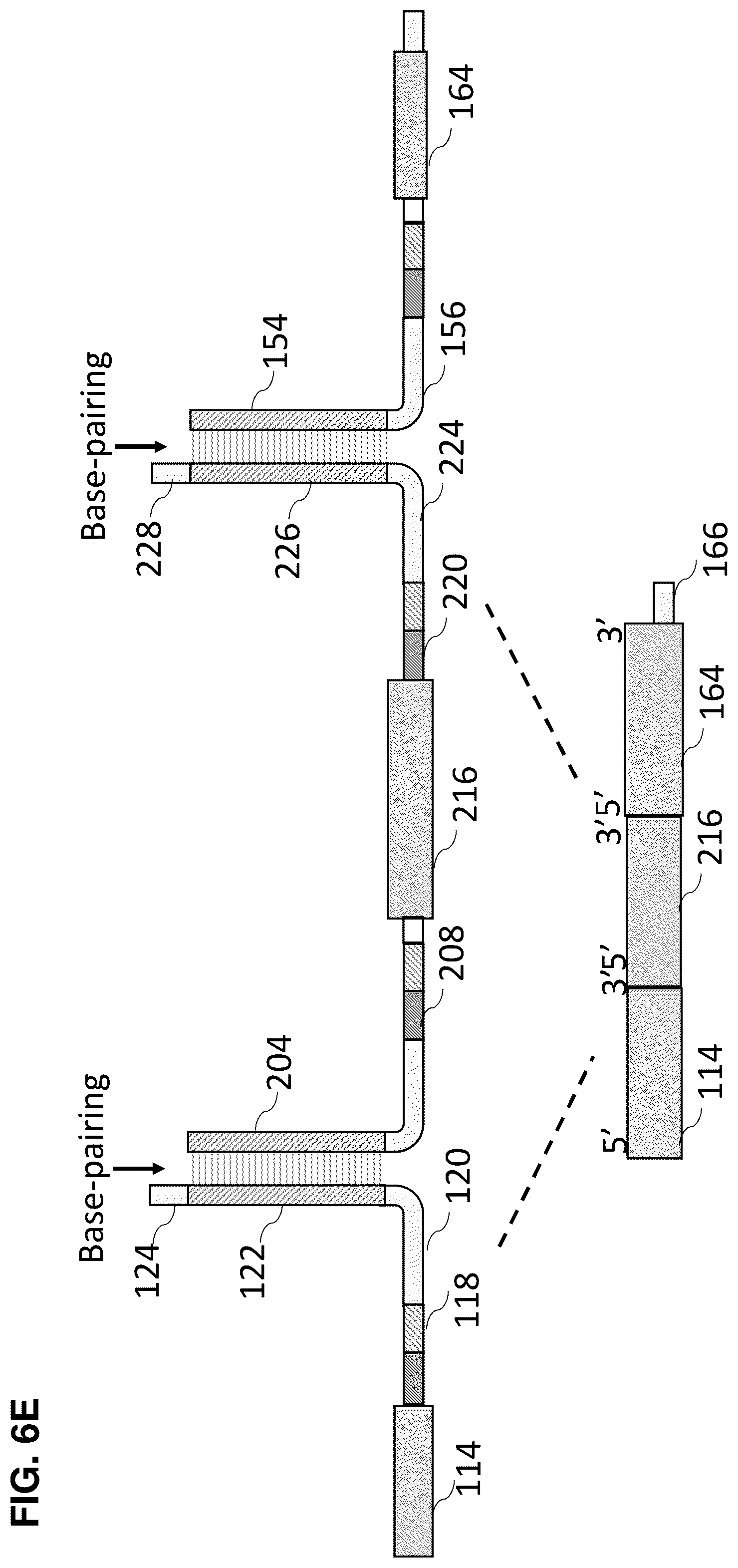 Patent US12448636 Figure 19 – High-efficiency reconstitution of RNA molecules