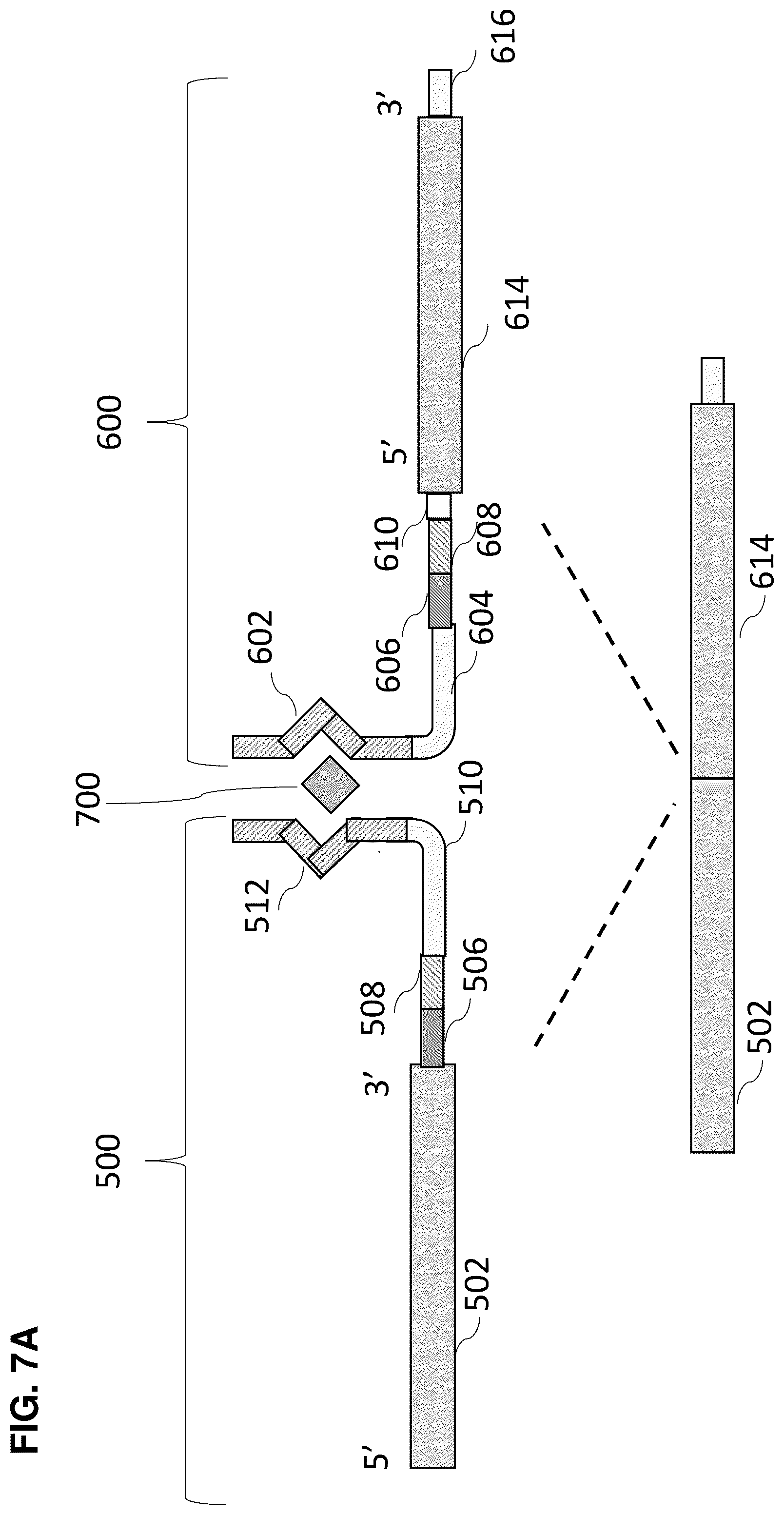 Patent US12448636 Figure 20 – High-efficiency reconstitution of RNA molecules
