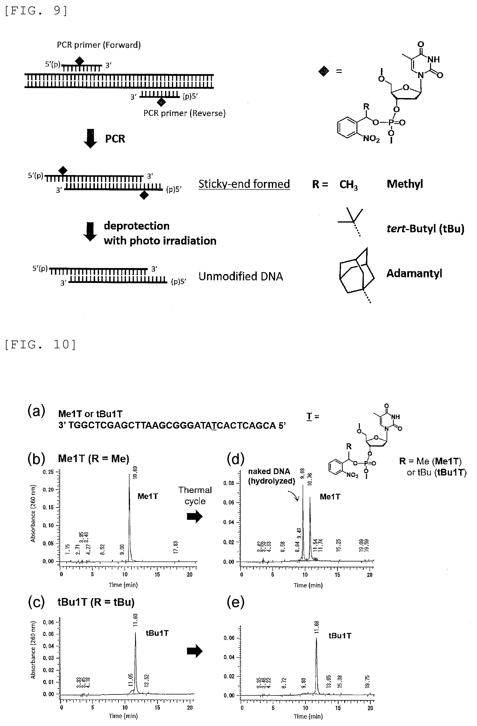 Patent US12448637 Figure 8 – Primer, device for producing double-stranded DNA using primer, and method for producing double-stranded DNA using primer