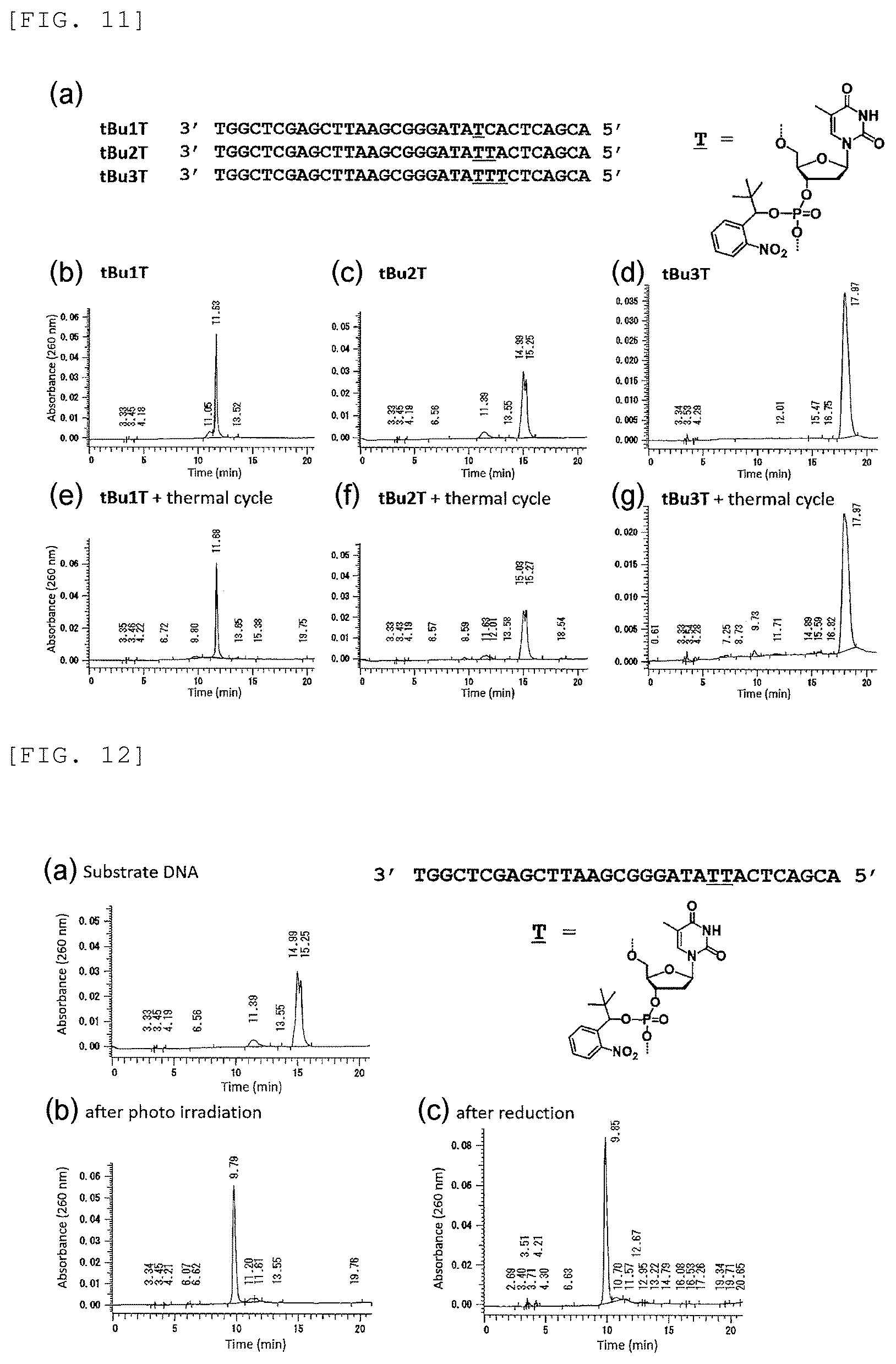 Patent US12448637 Figure 9 – Primer, device for producing double-stranded DNA using primer, and method for producing double-stranded DNA using primer
