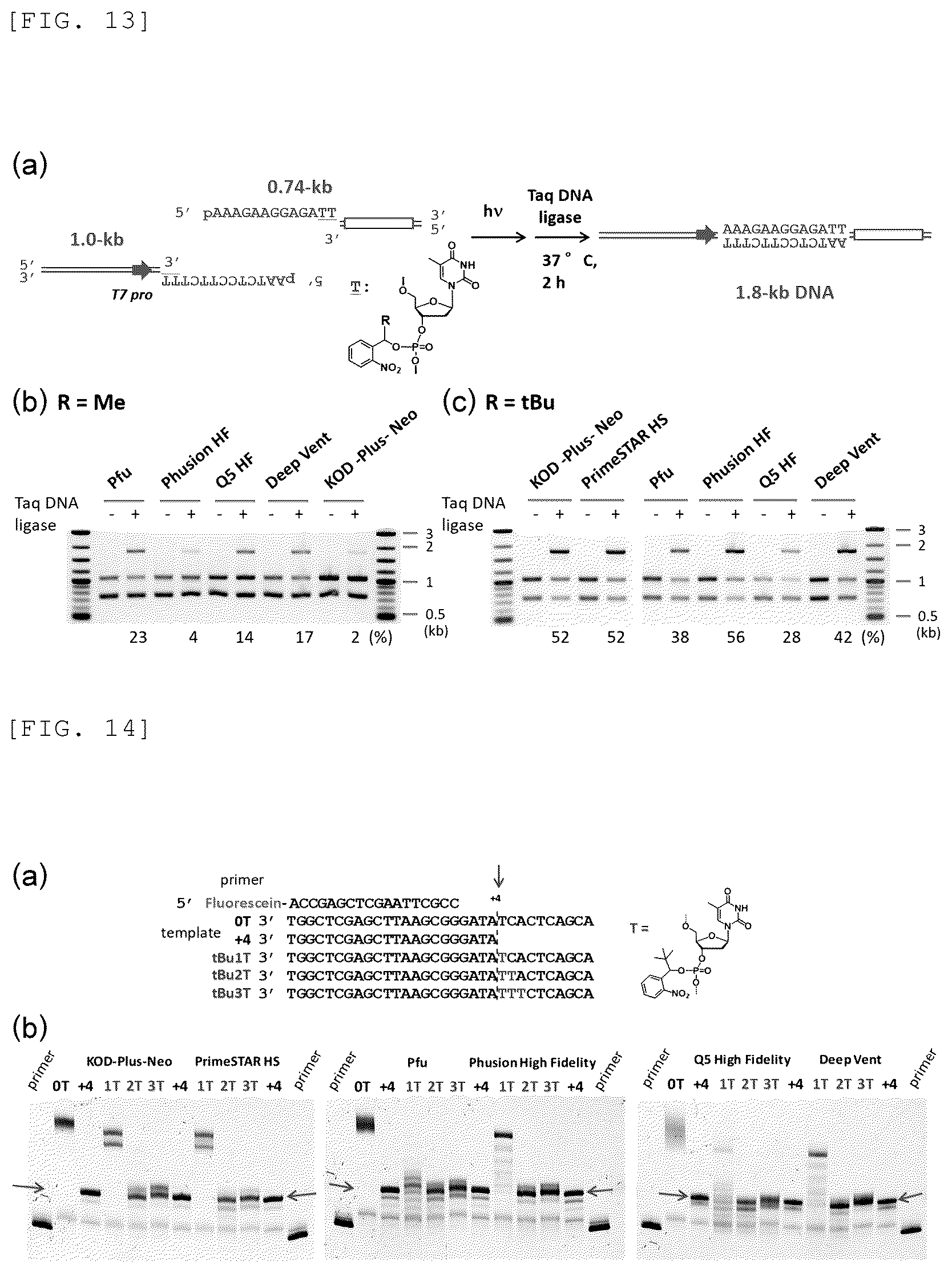 Patent US12448637 Figure 10 – Primer, device for producing double-stranded DNA using primer, and method for producing double-stranded DNA using primer