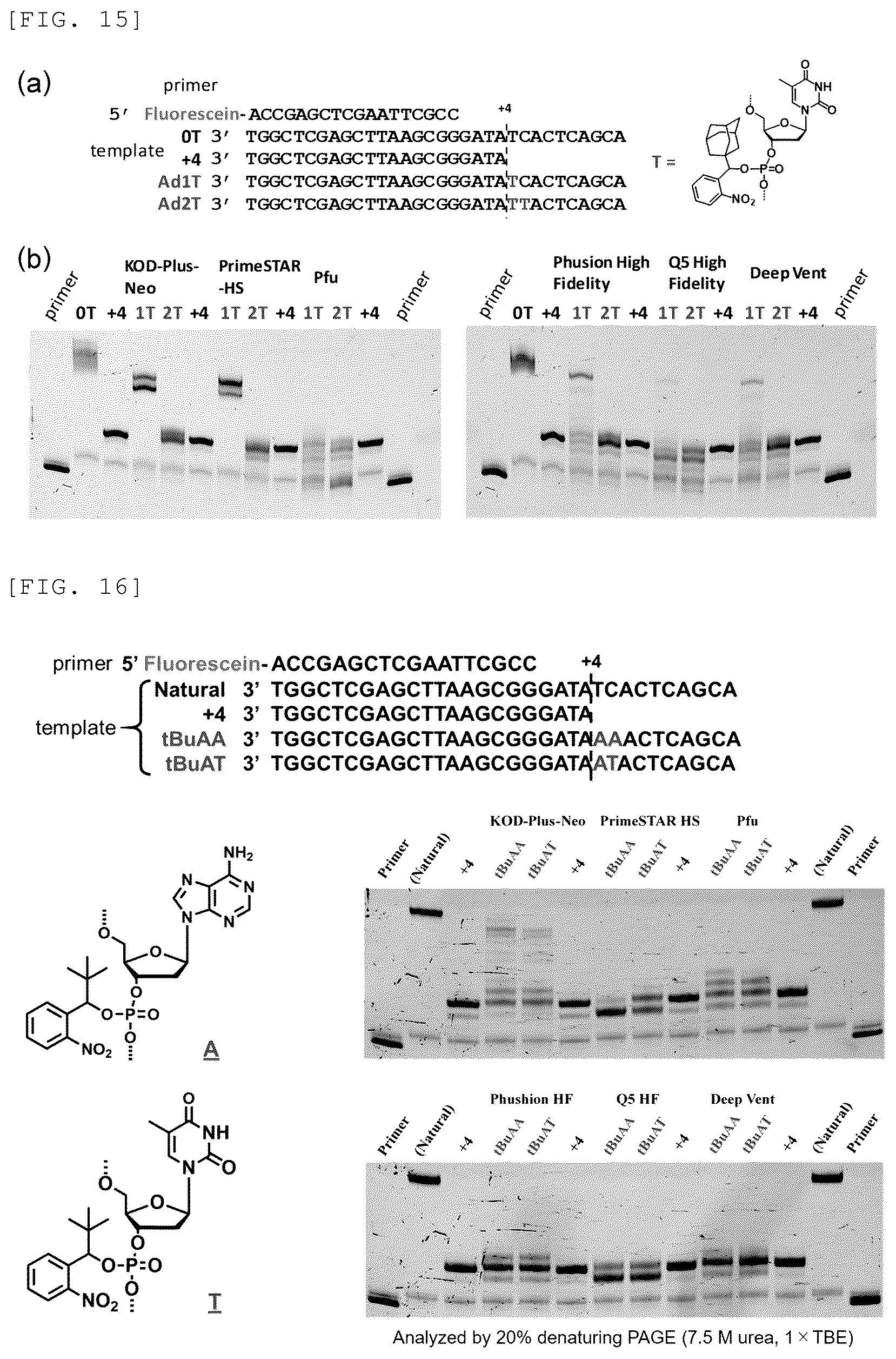 Patent US12448637 Figure 11 – Primer, device for producing double-stranded DNA using primer, and method for producing double-stranded DNA using primer