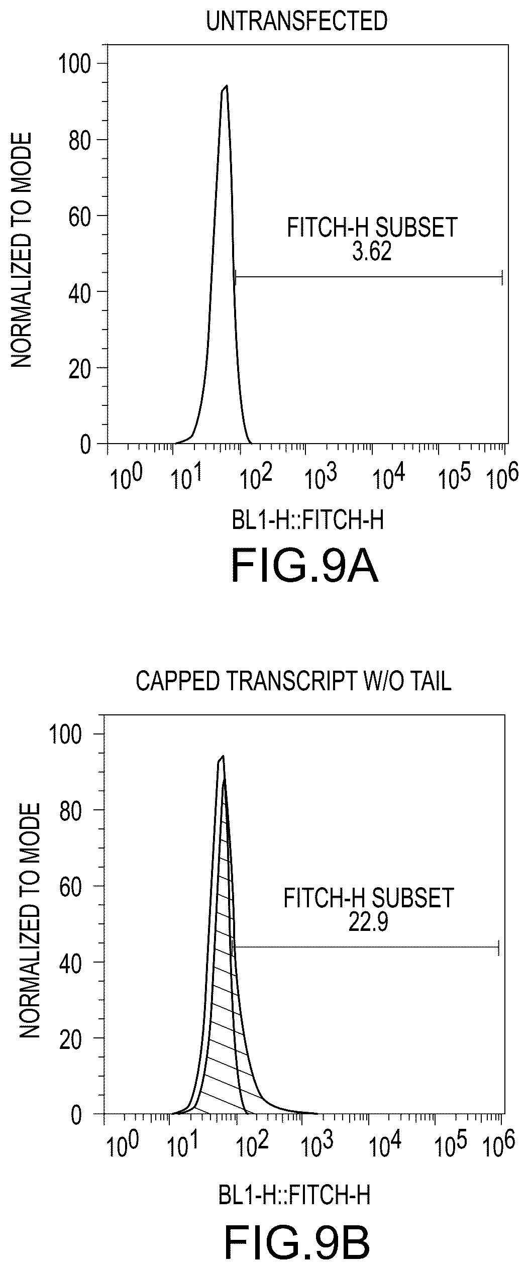 Patent US12448638 Figure 15 – Enzyme based system for production of messenger RNA with increased transfection efficiency