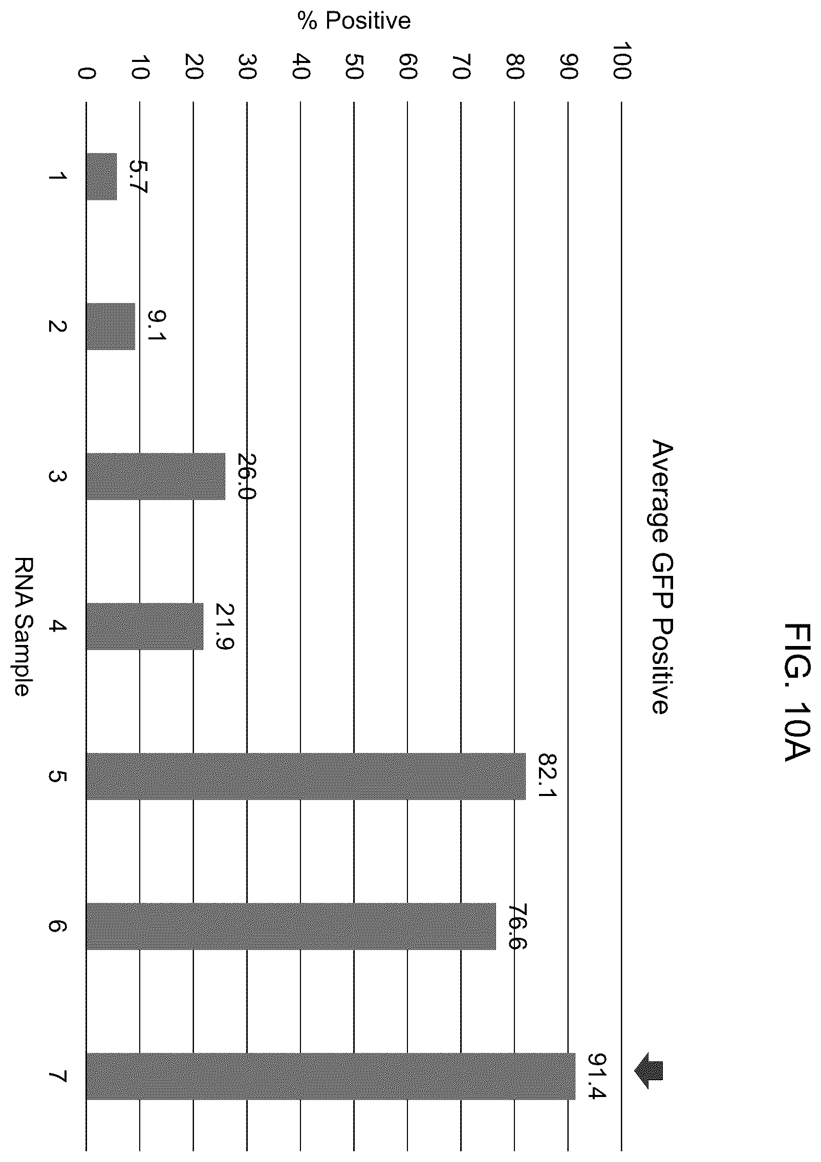 Patent US12448638 Figure 18 – Enzyme based system for production of messenger RNA with increased transfection efficiency