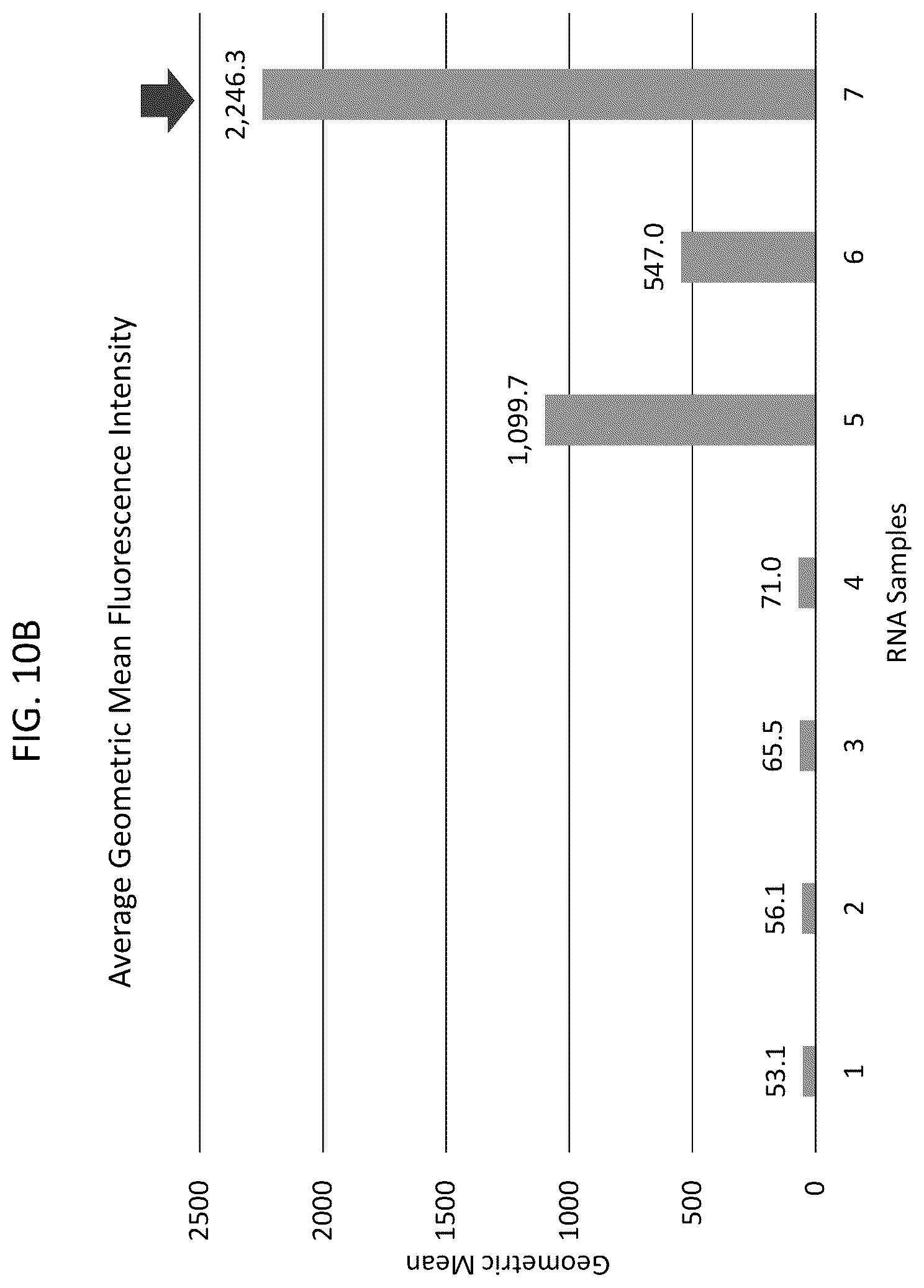 Patent US12448638 Figure 19 – Enzyme based system for production of messenger RNA with increased transfection efficiency