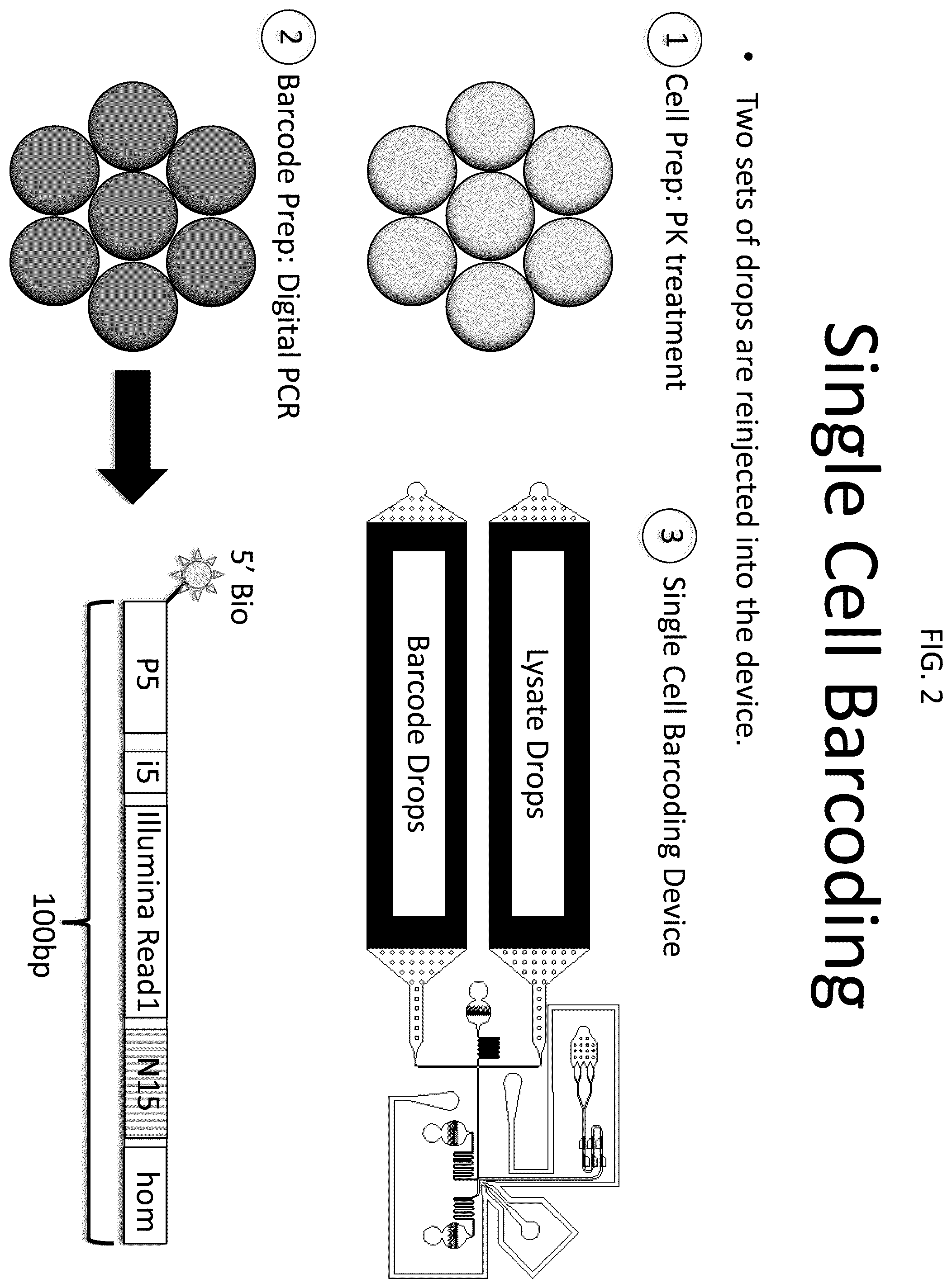 Patent US12448643 Figure 2 – Sequencing of nucleic acids via barcoding in discrete entities