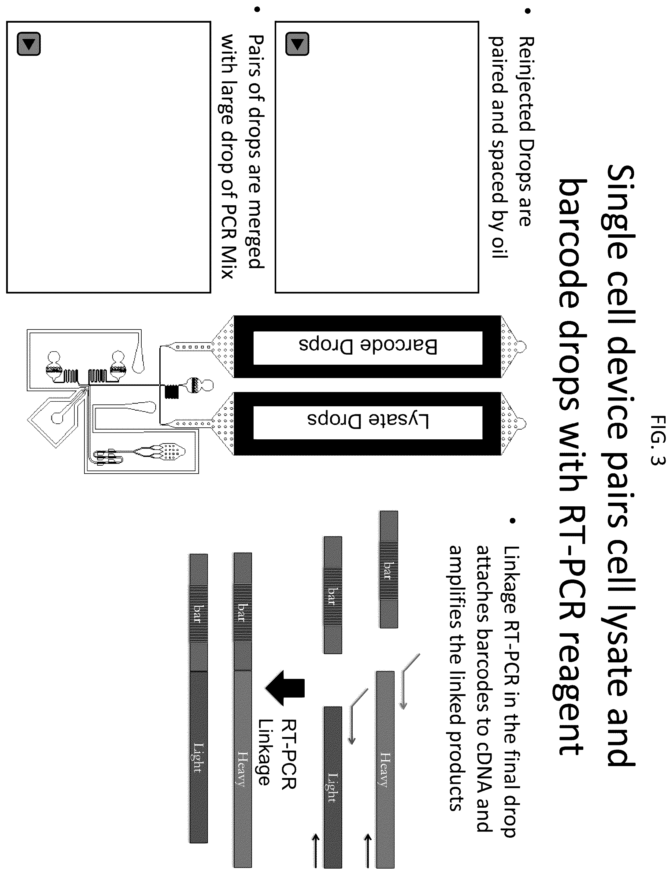 Patent US12448643 Figure 3 – Sequencing of nucleic acids via barcoding in discrete entities