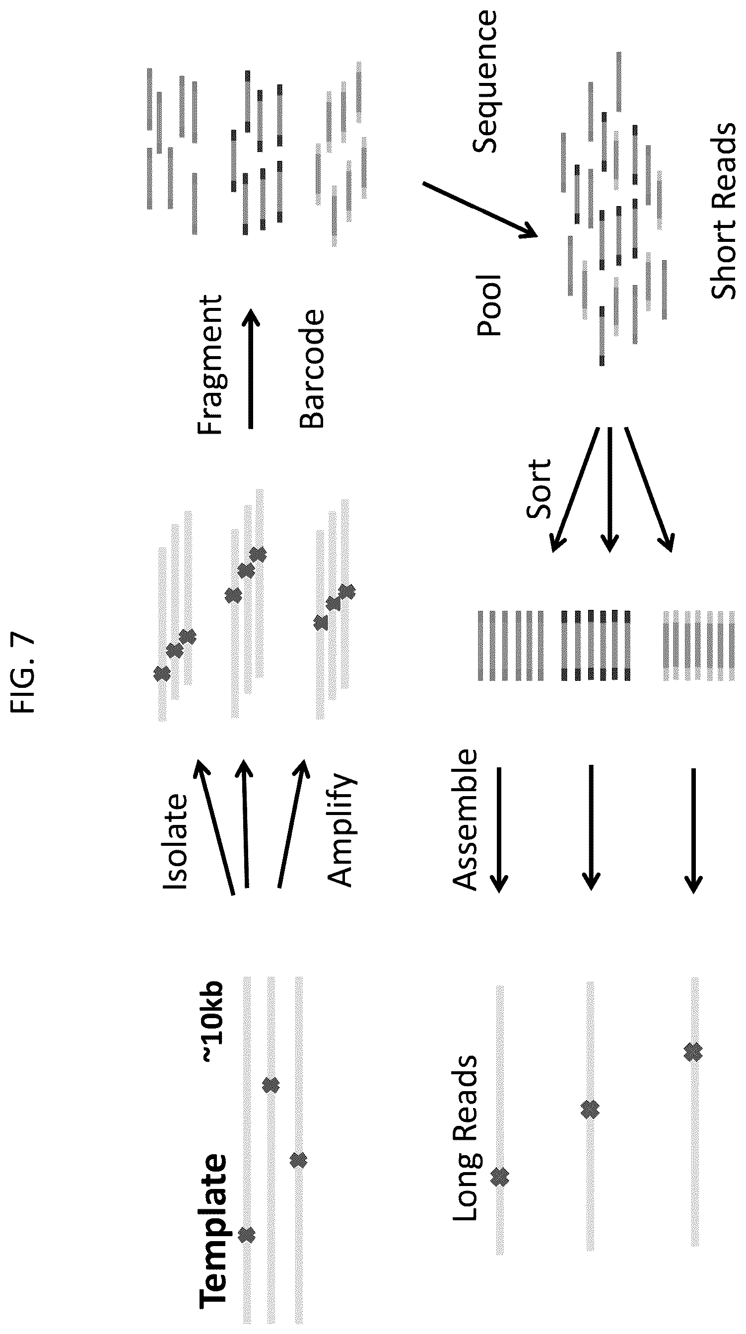 Patent US12448643 Figure 7 – Sequencing of nucleic acids via barcoding in discrete entities