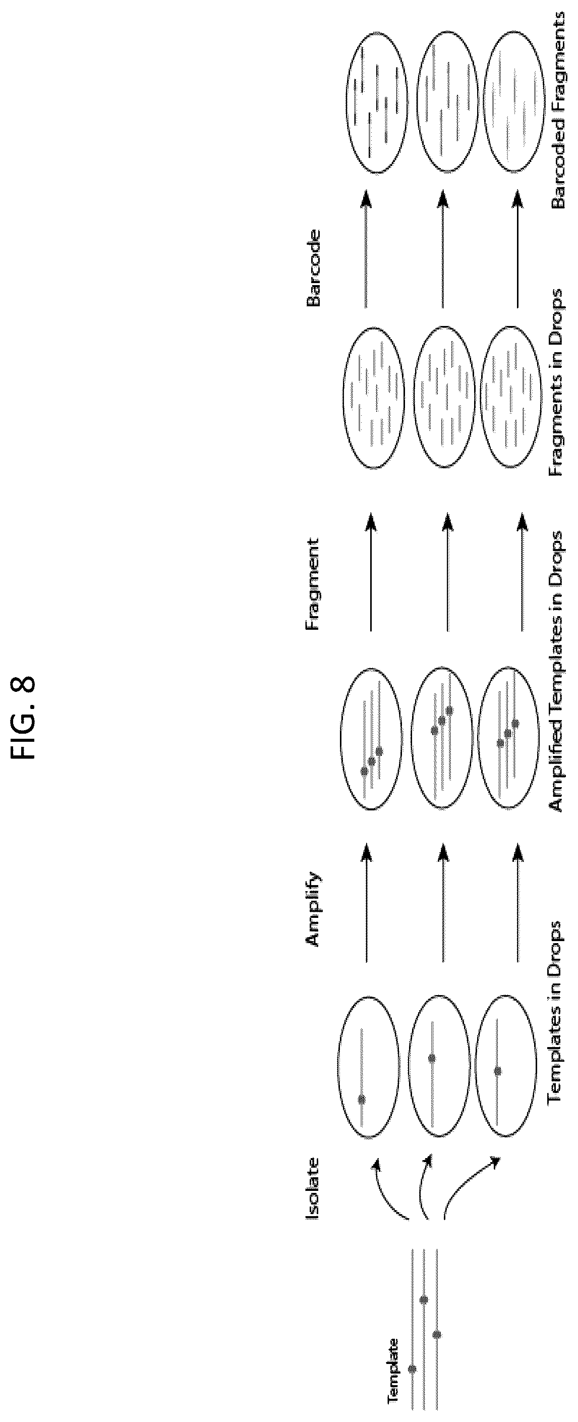 Patent US12448643 Figure 8 – Sequencing of nucleic acids via barcoding in discrete entities