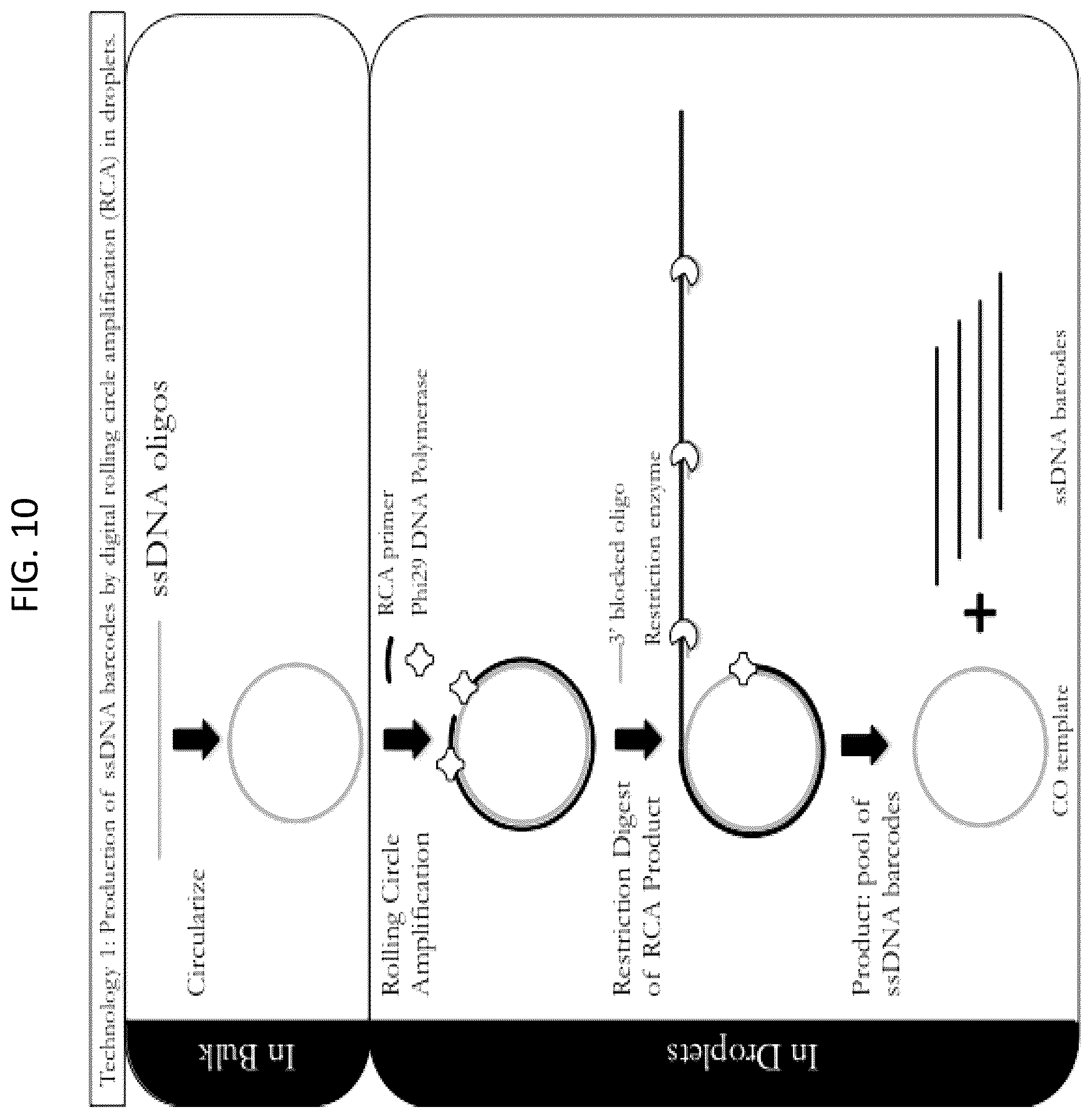 Patent US12448643 Figure 10 – Sequencing of nucleic acids via barcoding in discrete entities