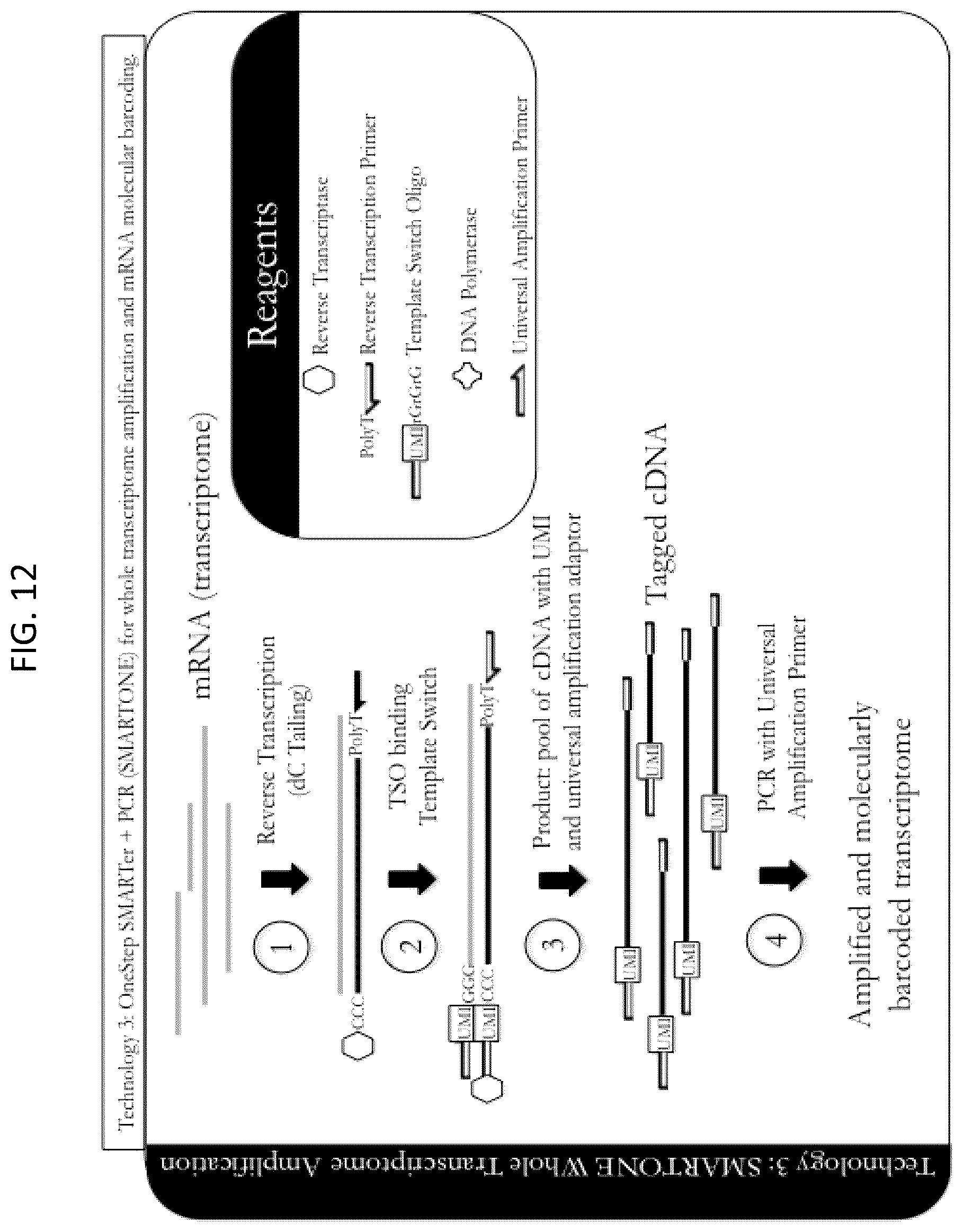 Patent US12448643 Figure 12 – Sequencing of nucleic acids via barcoding in discrete entities